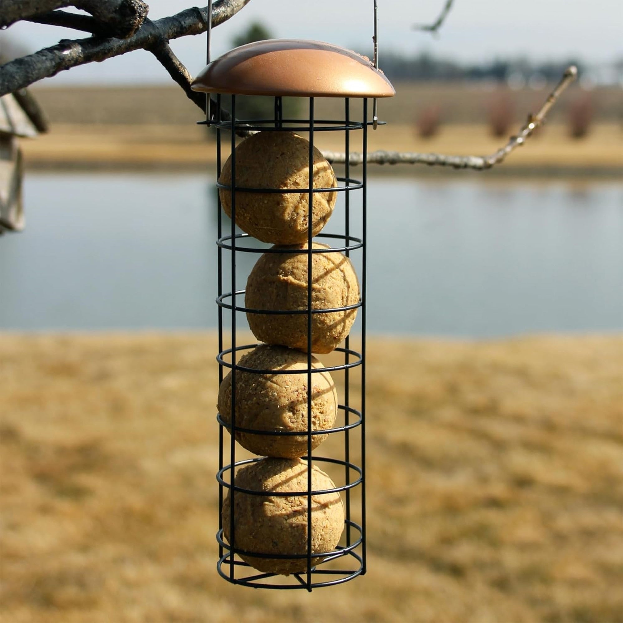 C&S Suet Ball Bird Feeder — Durable Outdoor Feeder, Copper Roof — Holds 4 Suet Balls