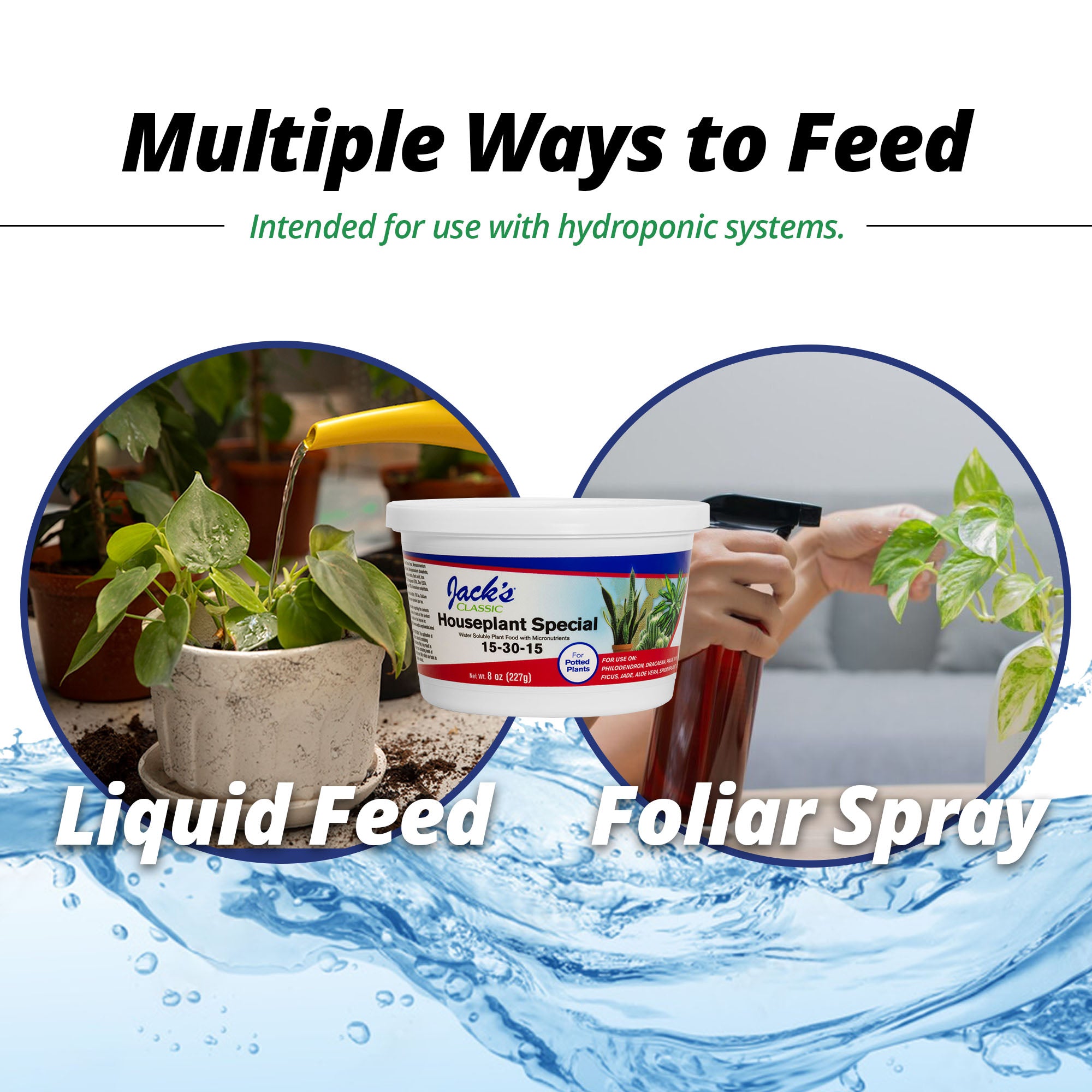 Jacks Classic 15-30-15 Houseplant Special Water Soluble Plant Fertilizer with Micronutrients for Potted Plants, 8-Ounce