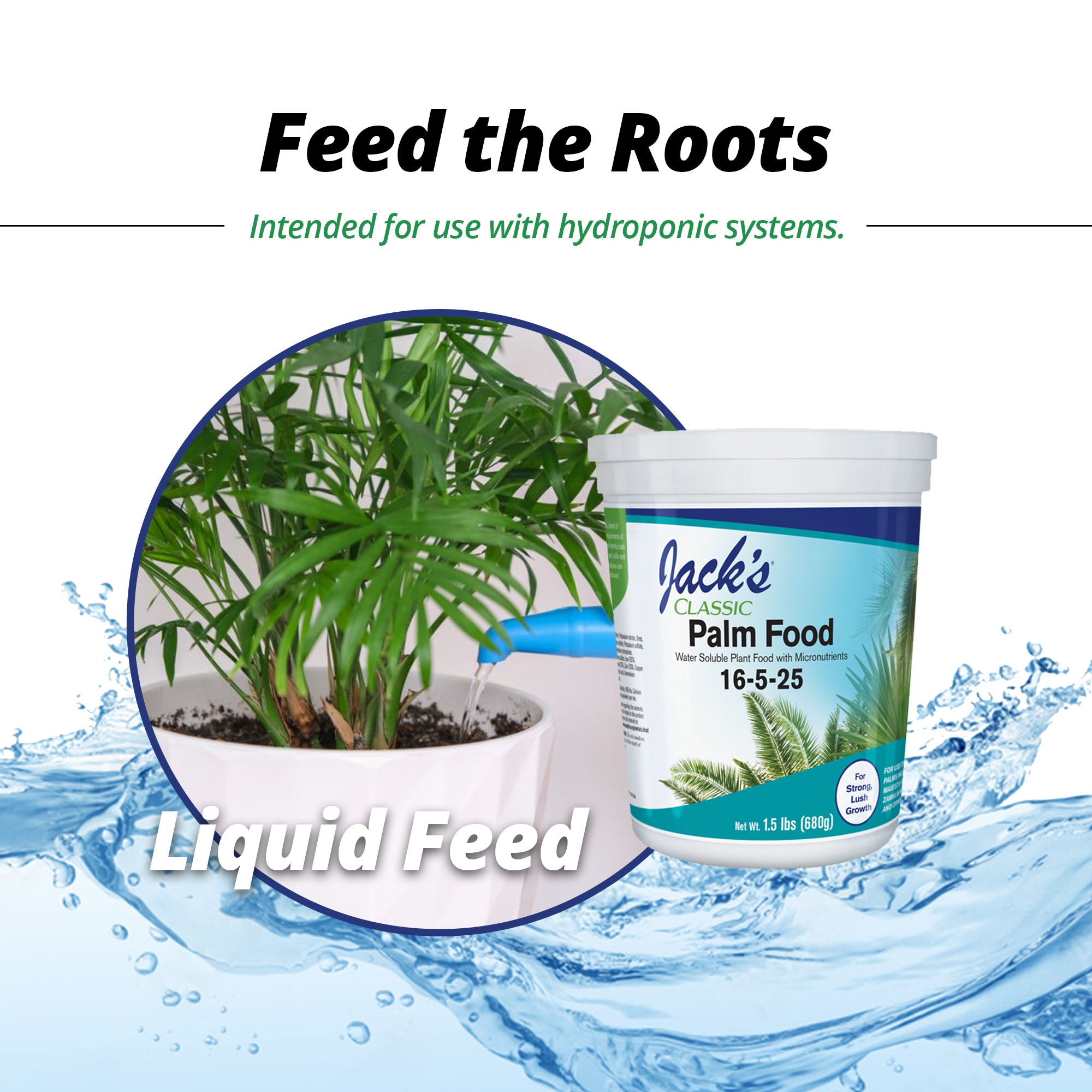 Jack's Classic 16-5-25 Palm Food Water-Soluble Fertilizer with Micronutrients for Strong Lush Growth, 1.5lbs