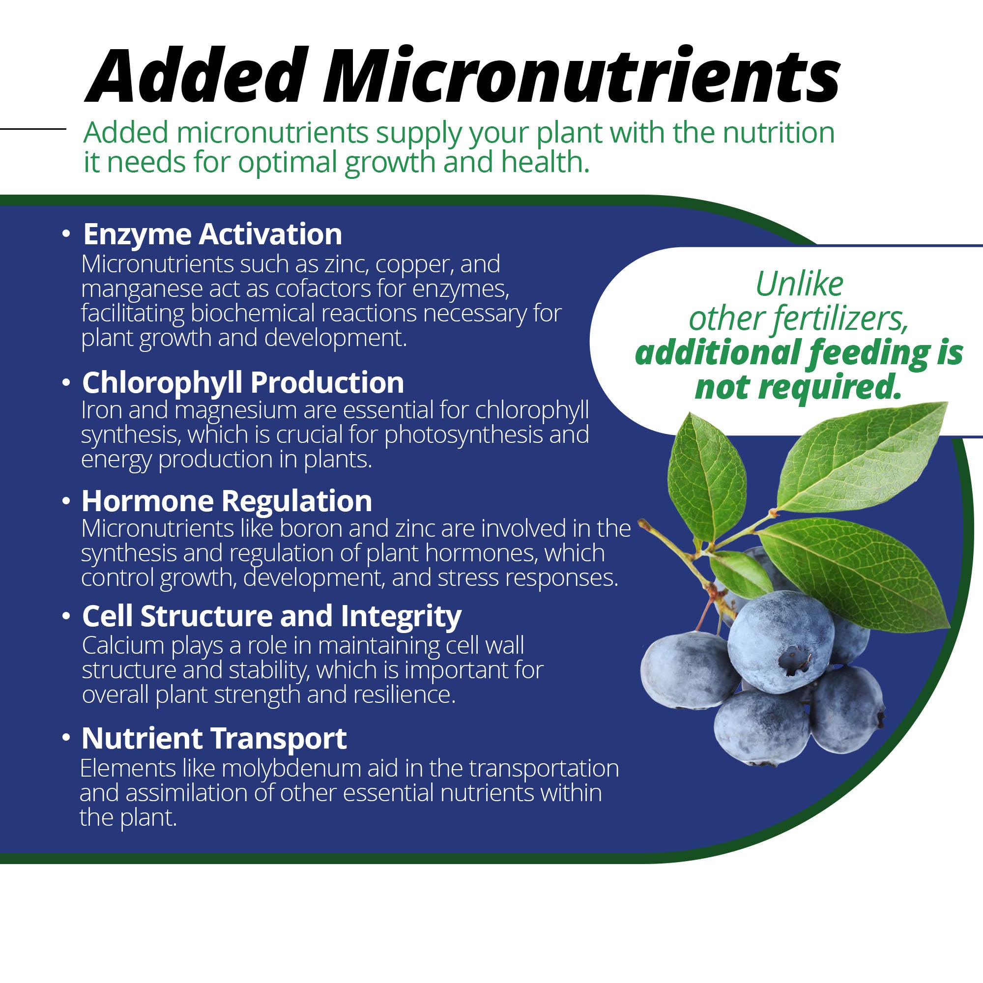 Jack's Classic Acid Special Water Soluble Plant Food with Micronutrients, 17-6-6