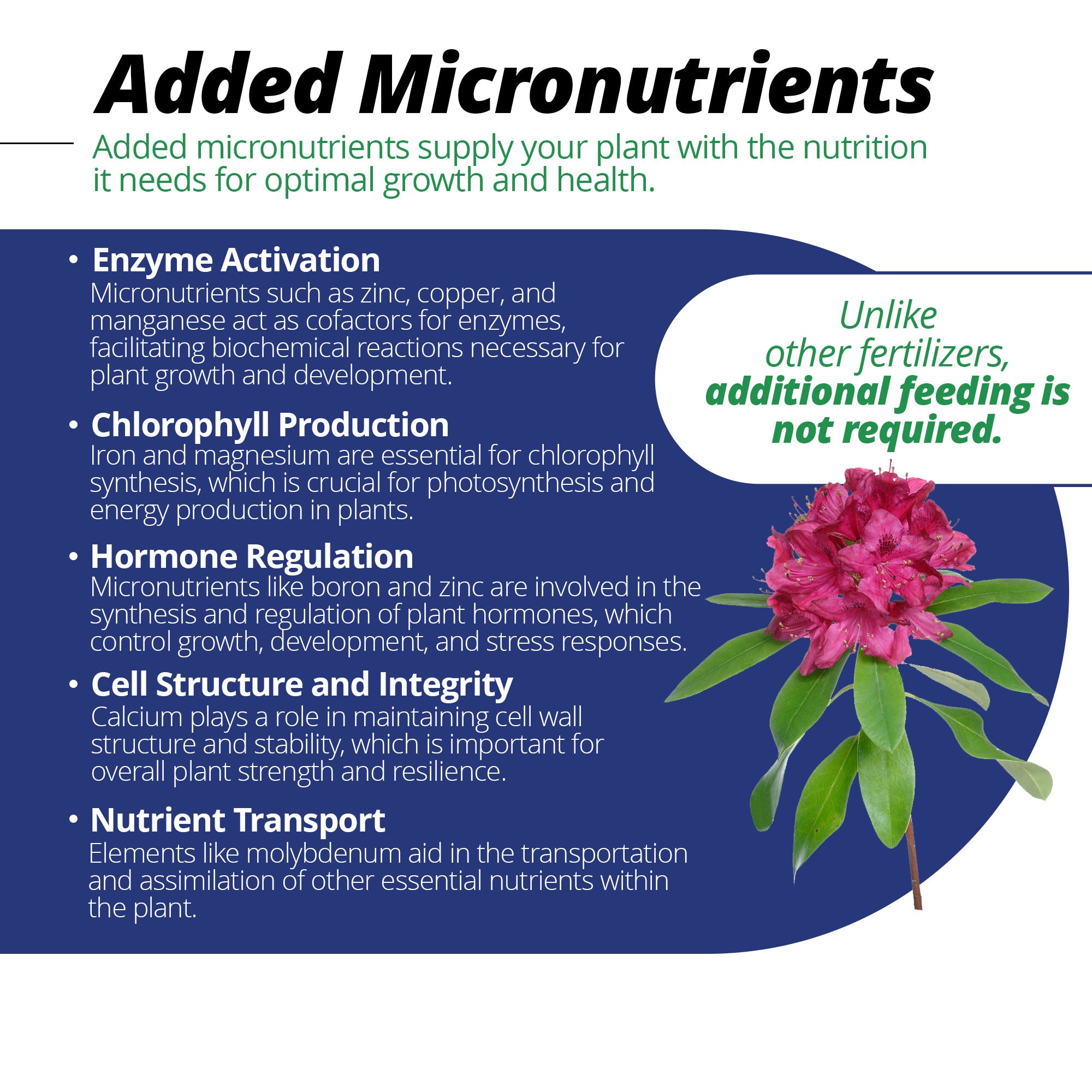 Jack's Professional 21-7-7 Acid Water-Soluble Fertilizer with Micronutrients for Acid-Loving Plants in Continuous Feed Programs, 25lbs