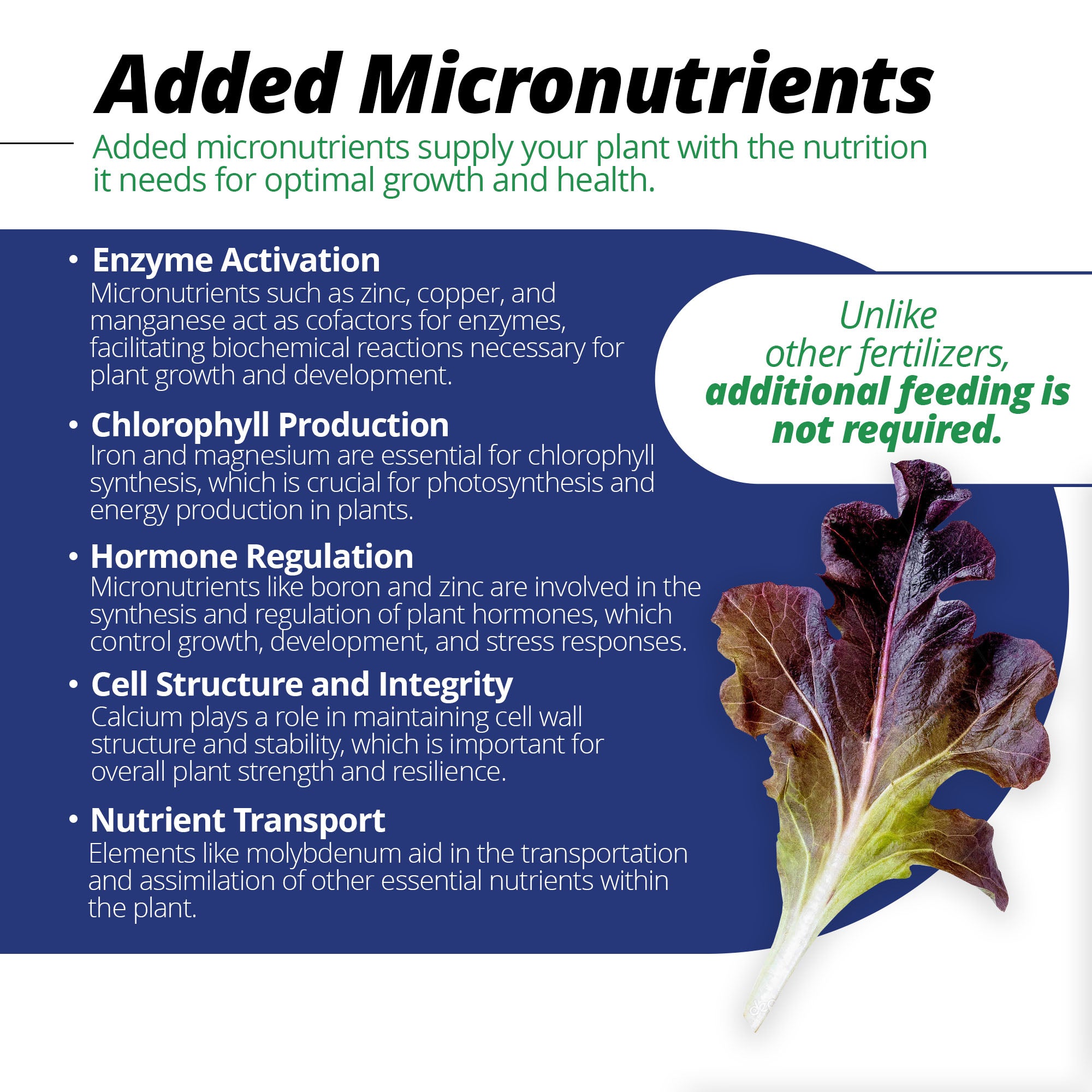 Jack's Professional Calcium Magnesium LX 15-5-15 Fertilizer, 25 lb