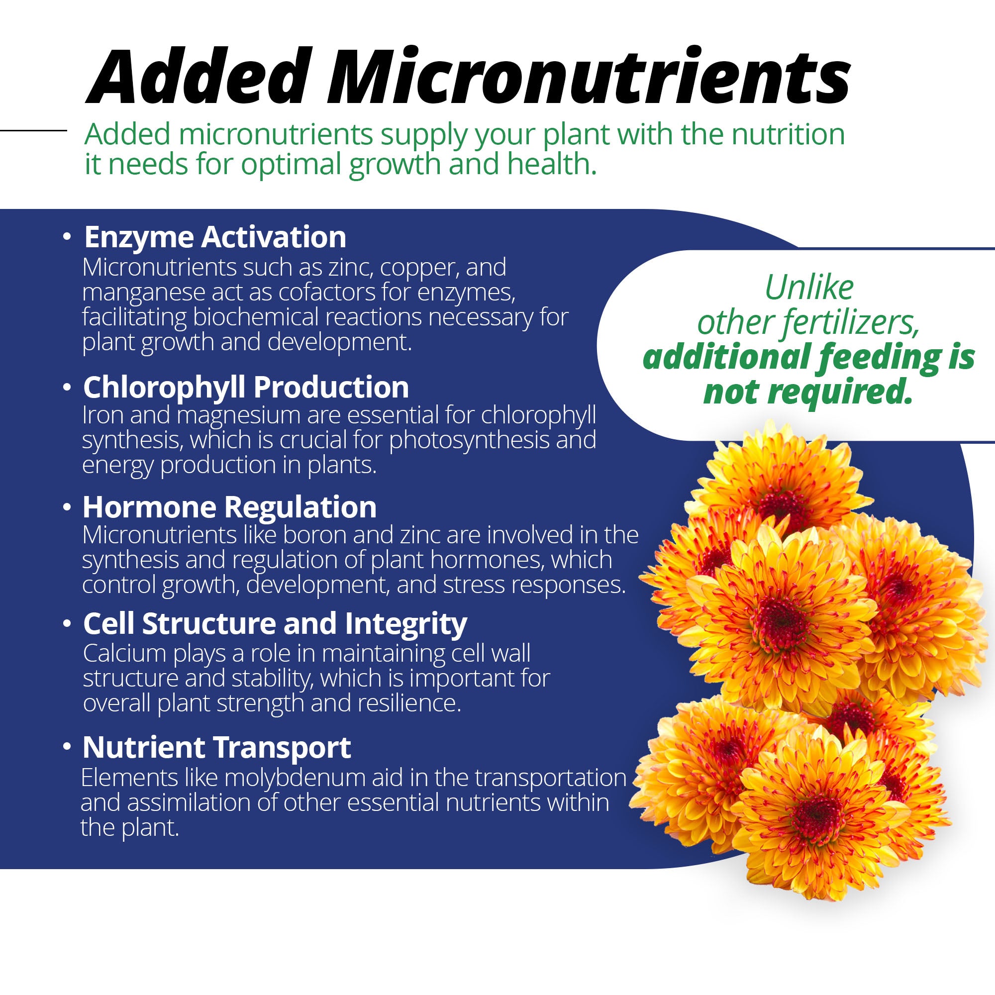 Jacks Prof Mum Feed Plus Magnesium 22-5-16 Fertilizer, 25-Pound