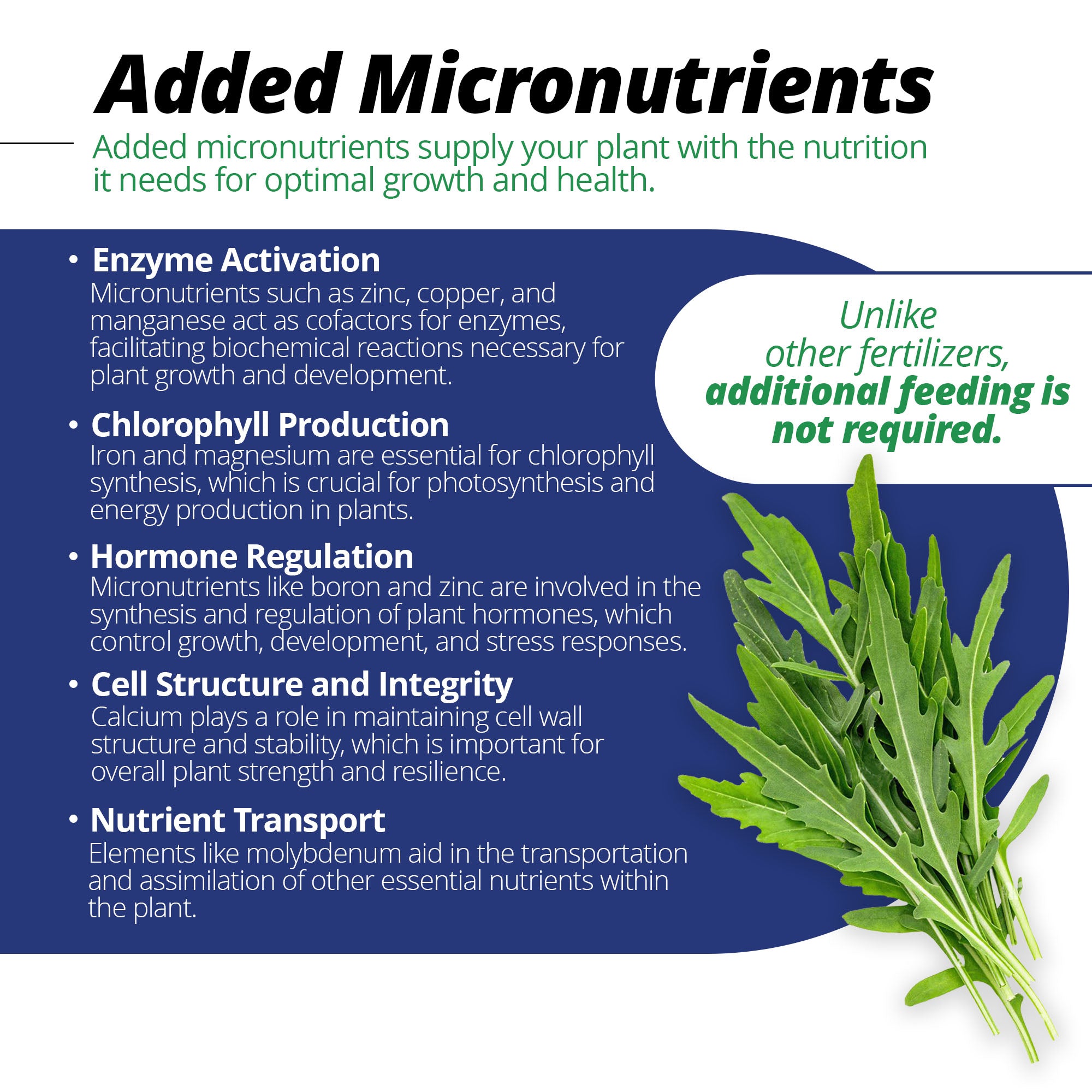 JR Peters Jack's Professional Blossom Booster 10-30-20 Fertilizer, 25lb