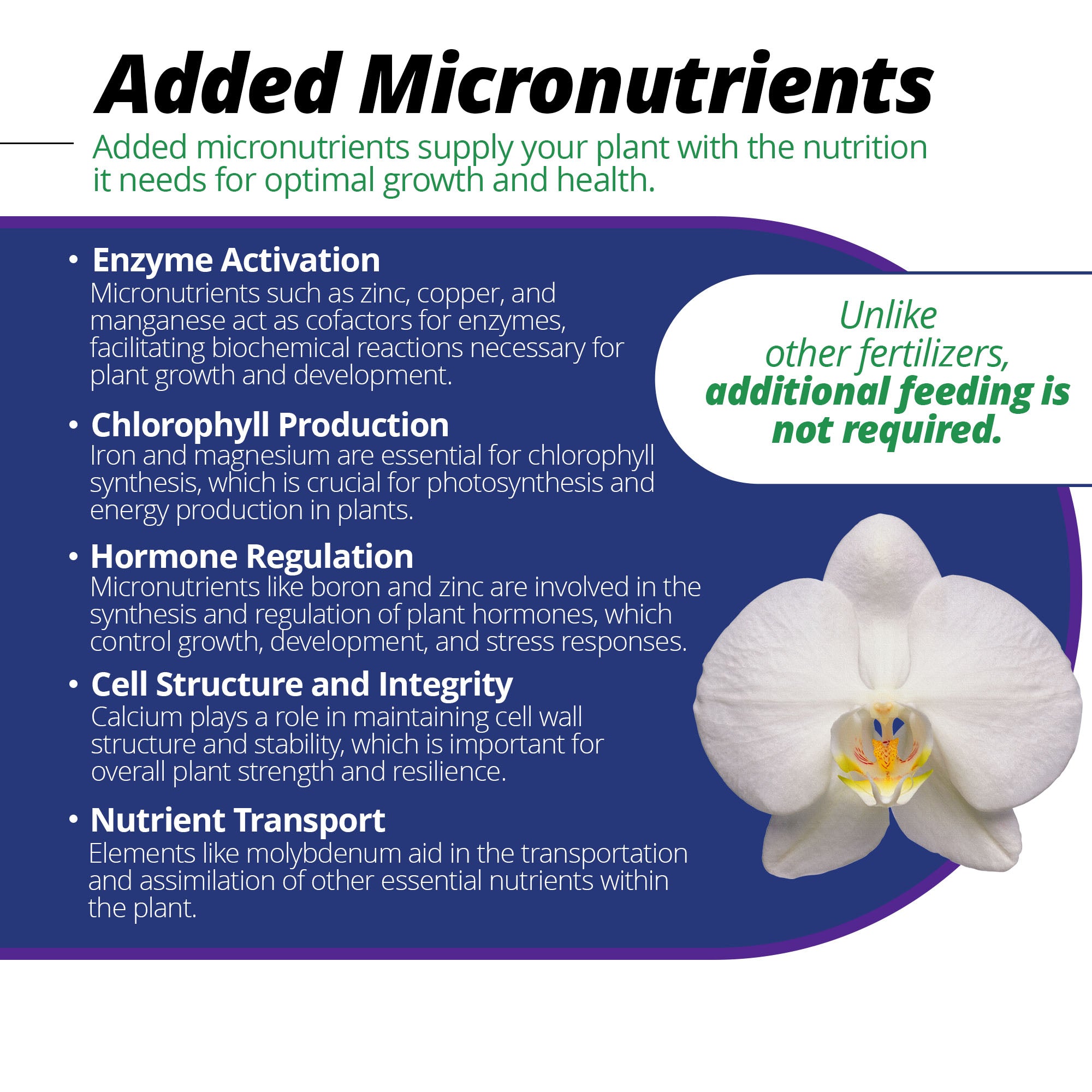 Jack's Classic 30-10-10 Orchid Special Water-Soluble Fertilizer with Micronutrients and Extra Nitrogen for Orchids, Turfs, and Ornamental Grasses, 8oz