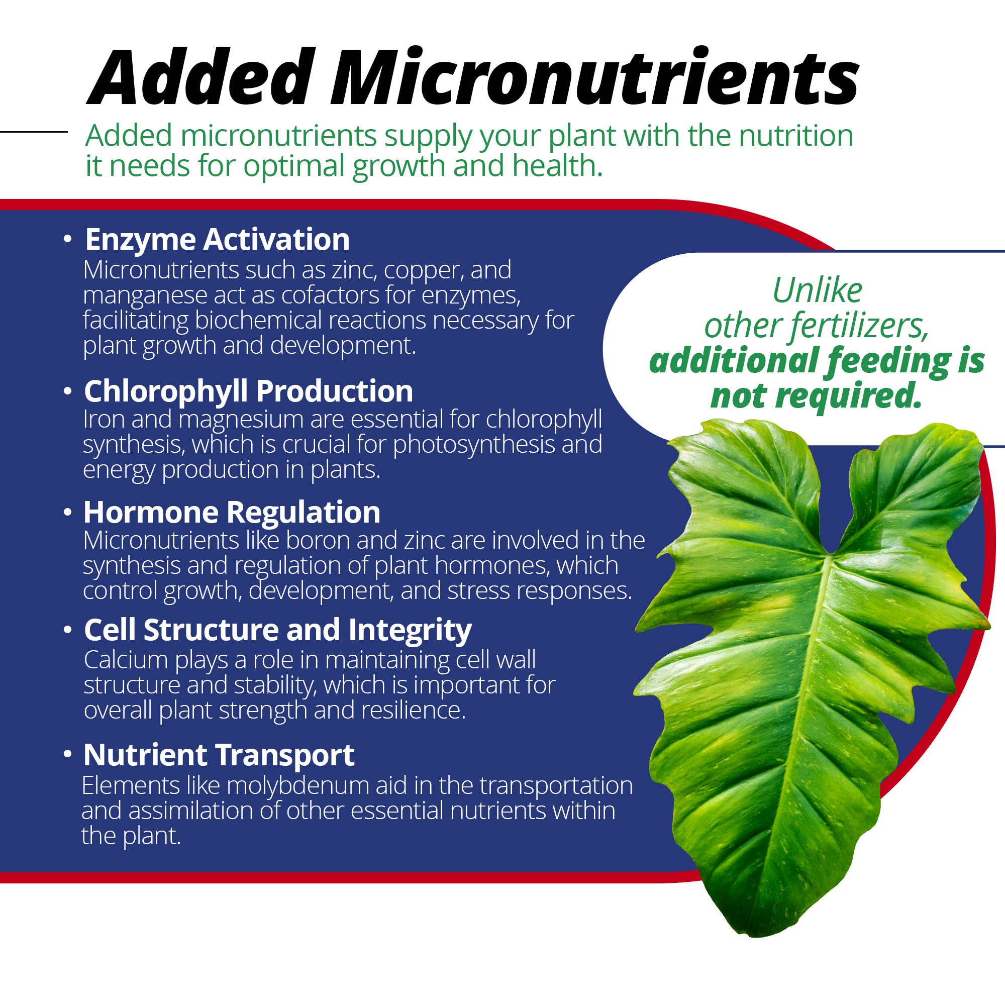 Jacks Classic 15-30-15 Houseplant Special Water Soluble Plant Fertilizer with Micronutrients for Potted Plants, 8-Ounce