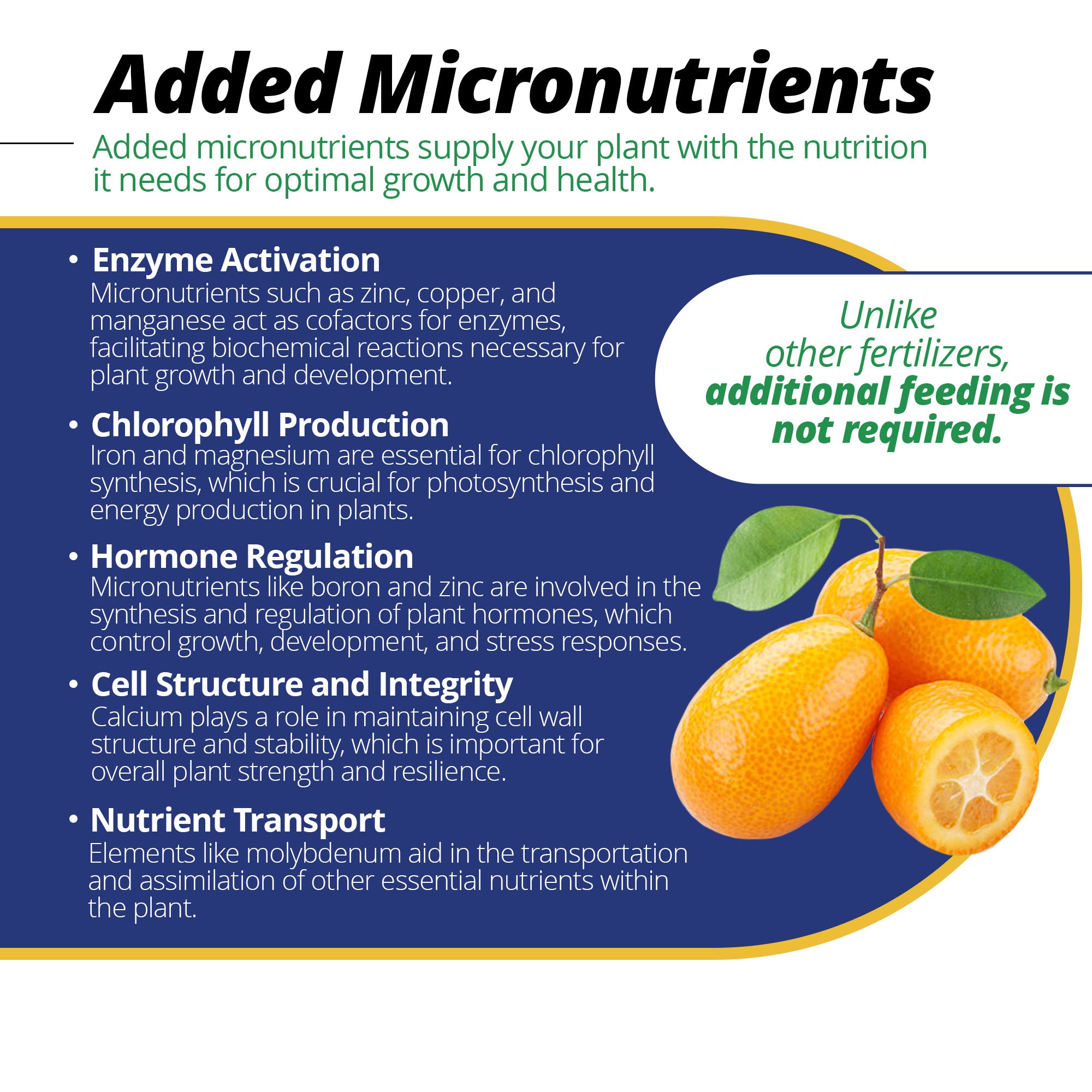 Jack's Classic 20-10-20 Citrus FeED Water-Soluble Fertilizer with Micronutrients to Provide Better Growth and Fruiting in Tropical Fruiting Plants, 1.5lbs