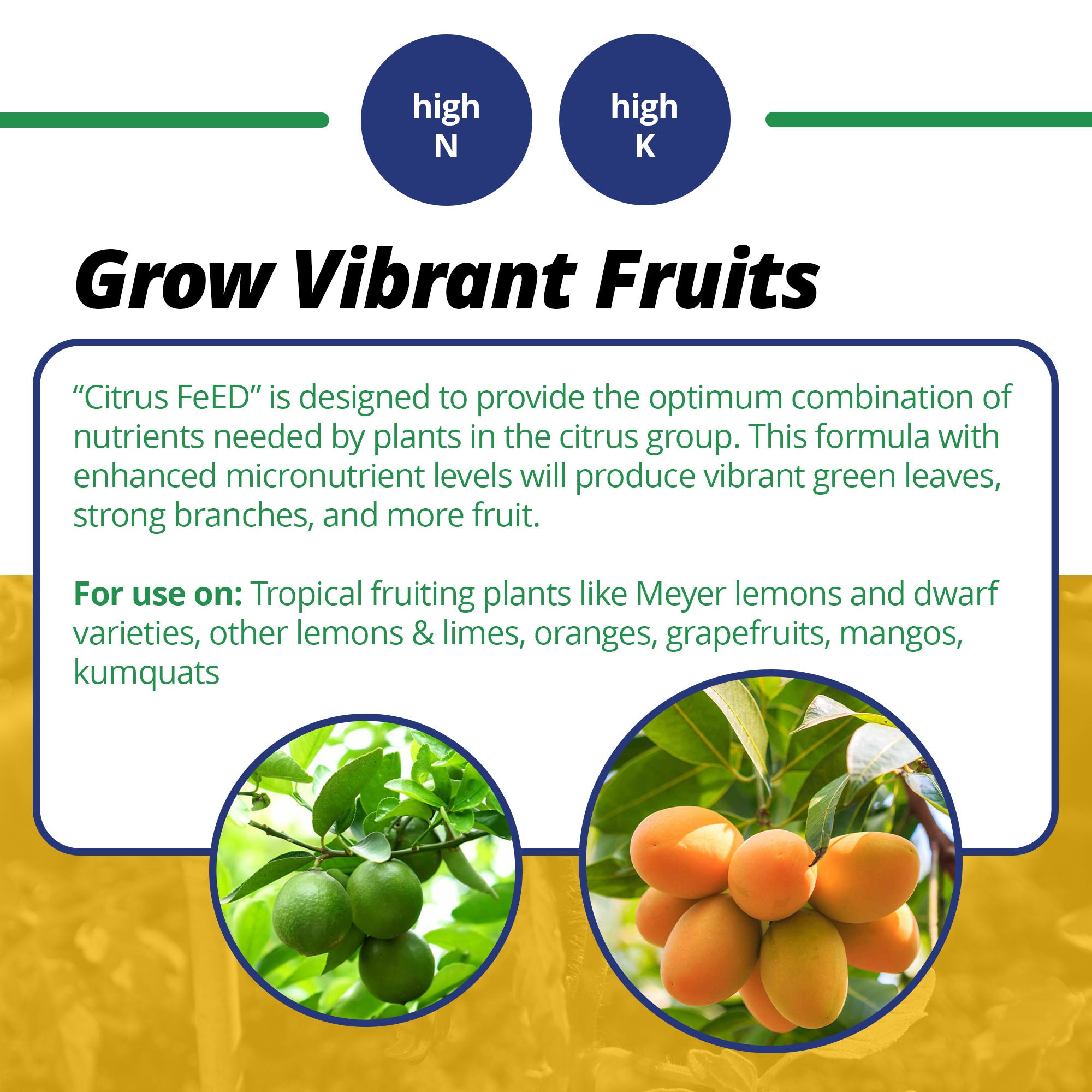 Jack's Classic 20-10-20 Citrus FeED Water-Soluble Fertilizer with Micronutrients to Provide Better Growth and Fruiting in Tropical Fruiting Plants, 1.5lbs