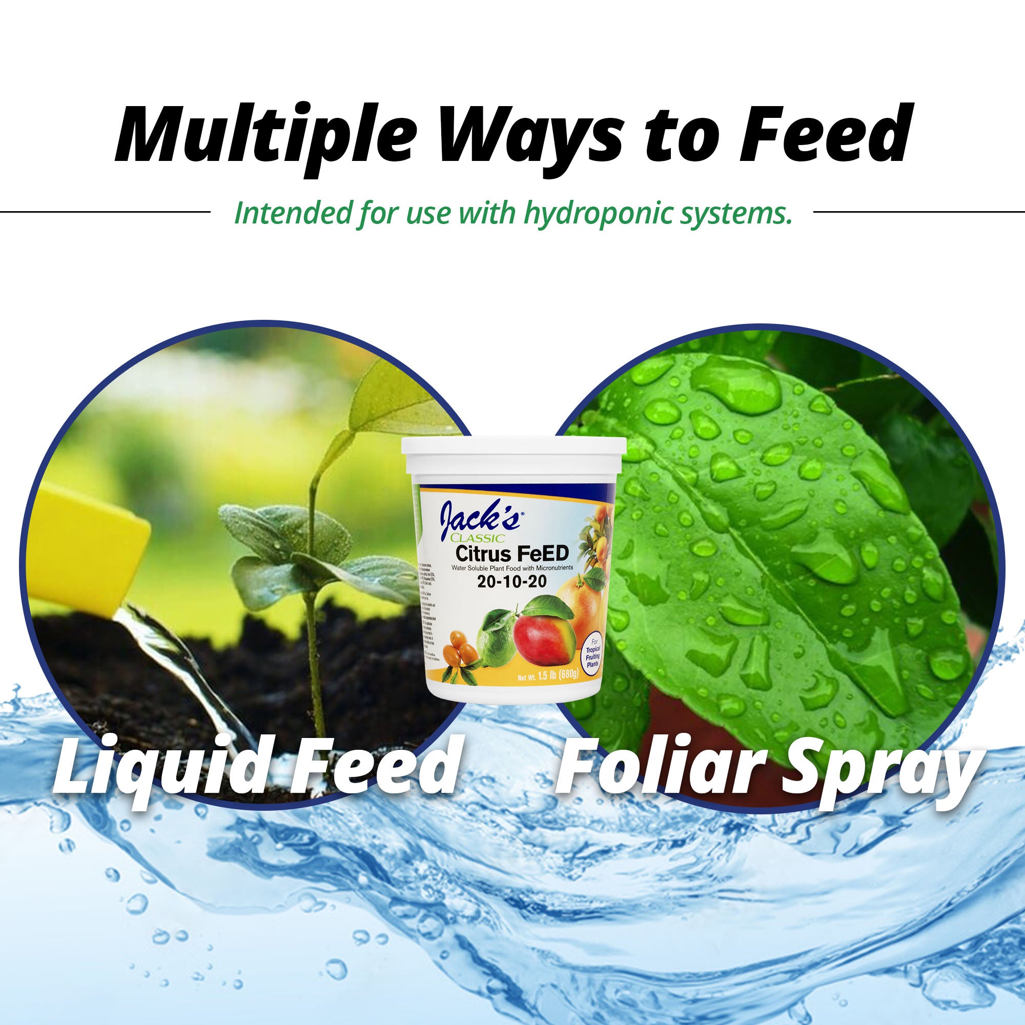 Jack's Classic 20-10-20 Citrus FeED Water-Soluble Fertilizer with Micronutrients to Provide Better Growth and Fruiting in Tropical Fruiting Plants, 1.5lbs