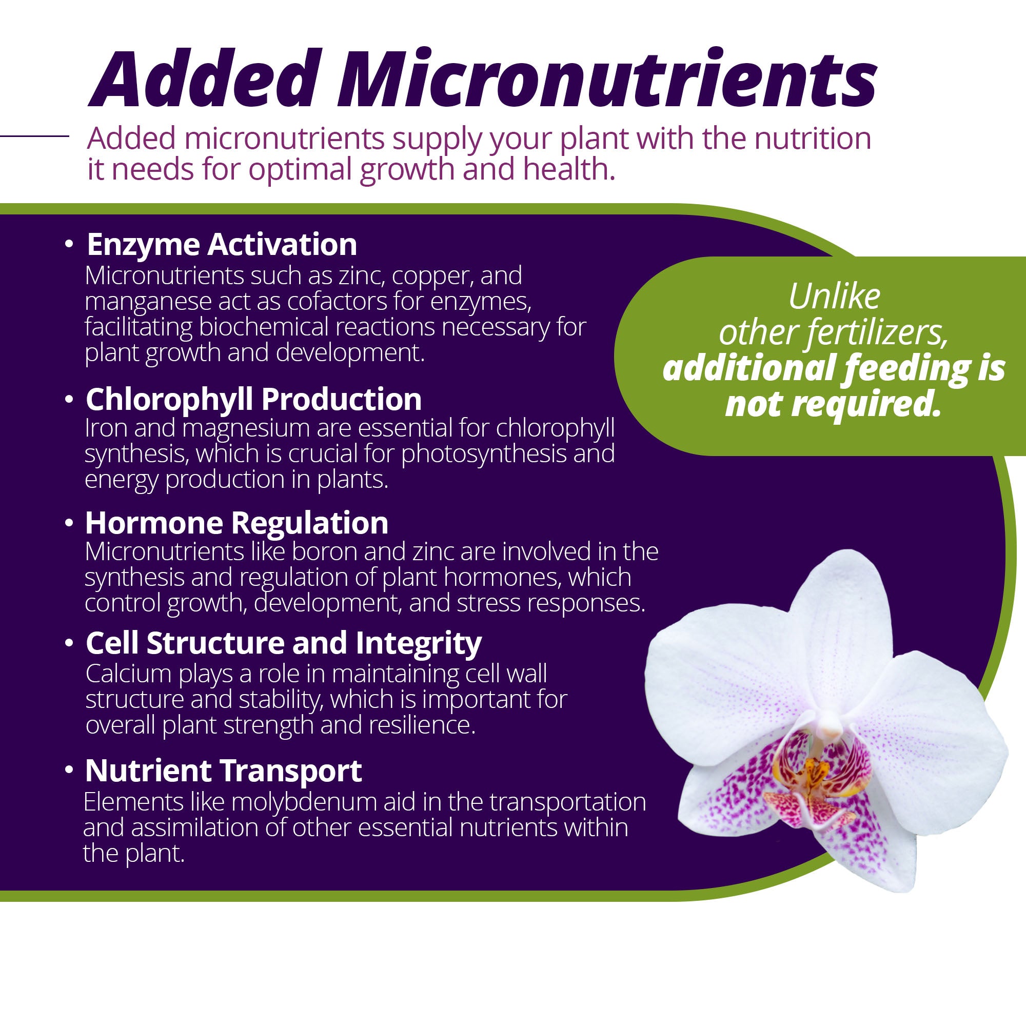 Jack's Classic 7-5-6 Orchid Liquid Concentrated Fertilizer with Micronutrients for Vegetative Growth and Prolific Blooming, 8 fl oz