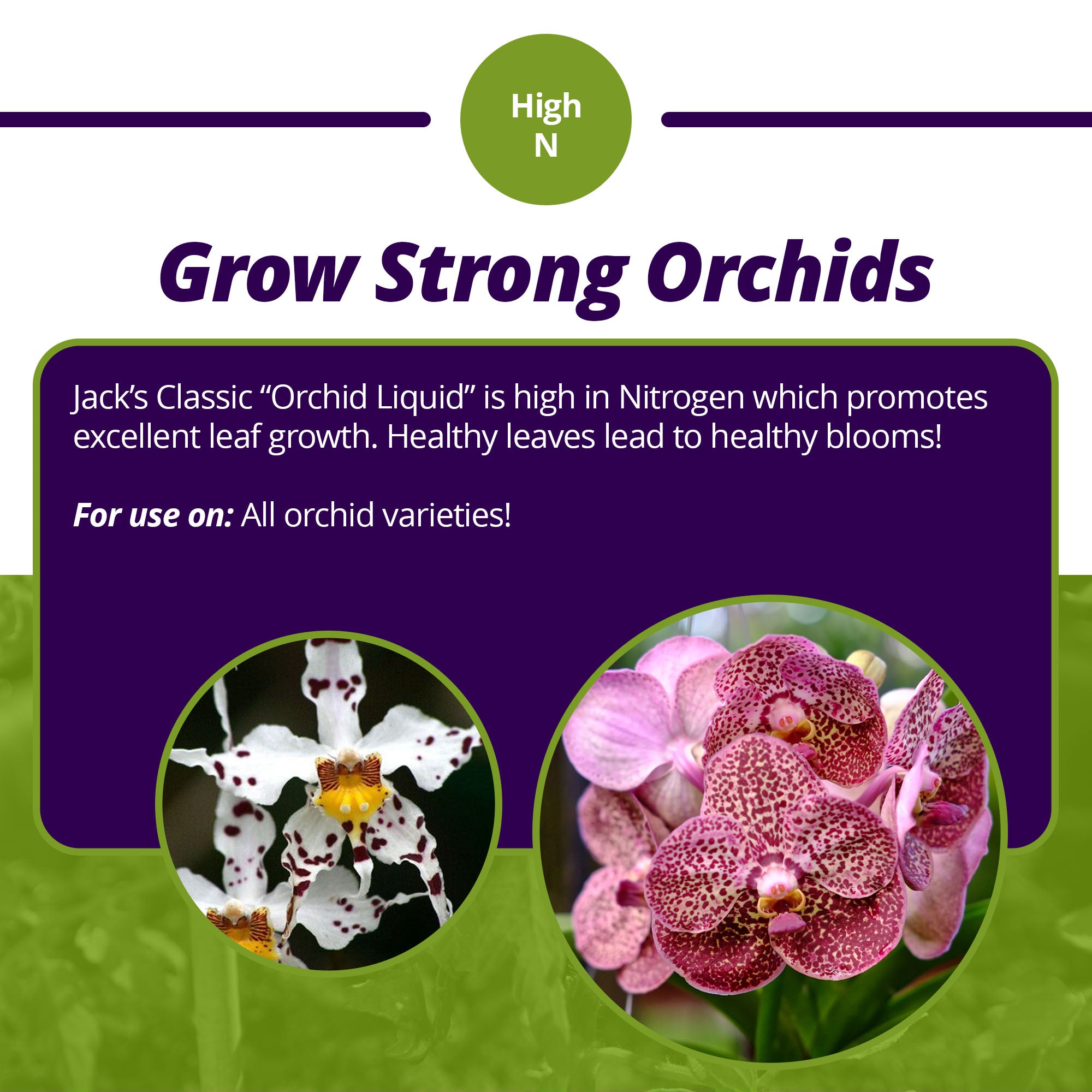 Jack's Classic 7-5-6 Orchid Liquid Concentrated Fertilizer with Micronutrients for Vegetative Growth and Prolific Blooming, 8 fl oz