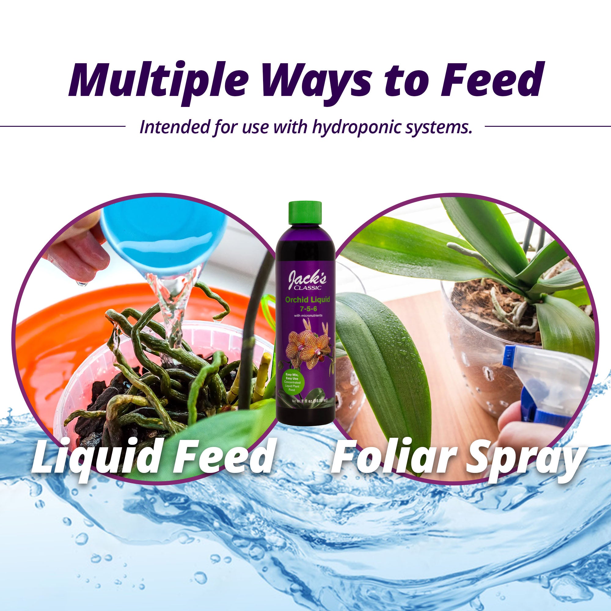 Jack's Classic 7-5-6 Orchid Liquid Concentrated Fertilizer with Micronutrients for Vegetative Growth and Prolific Blooming, 8 fl oz