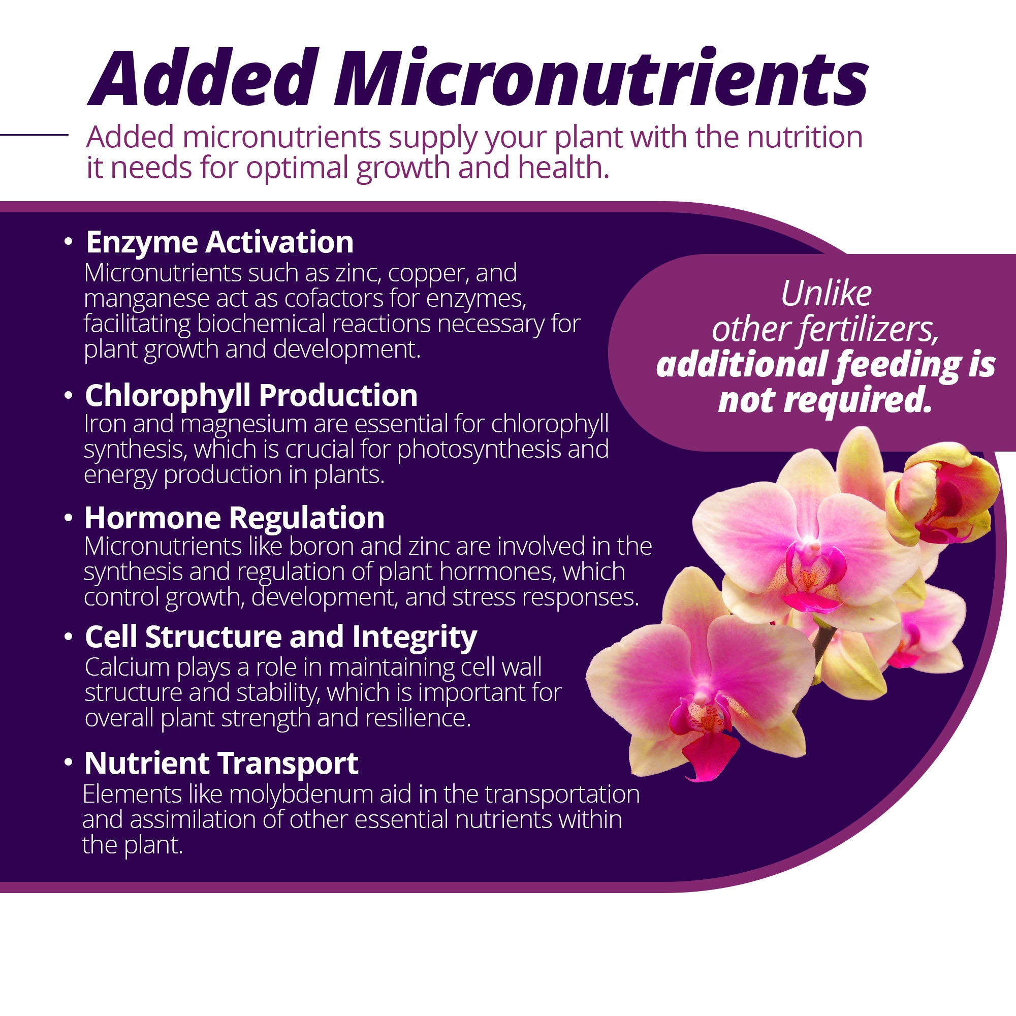 Jack's Classic 3-9-6 Orchid Bloom Booster Liquid Plant Food with Micronutrients, 8 fl. oz.