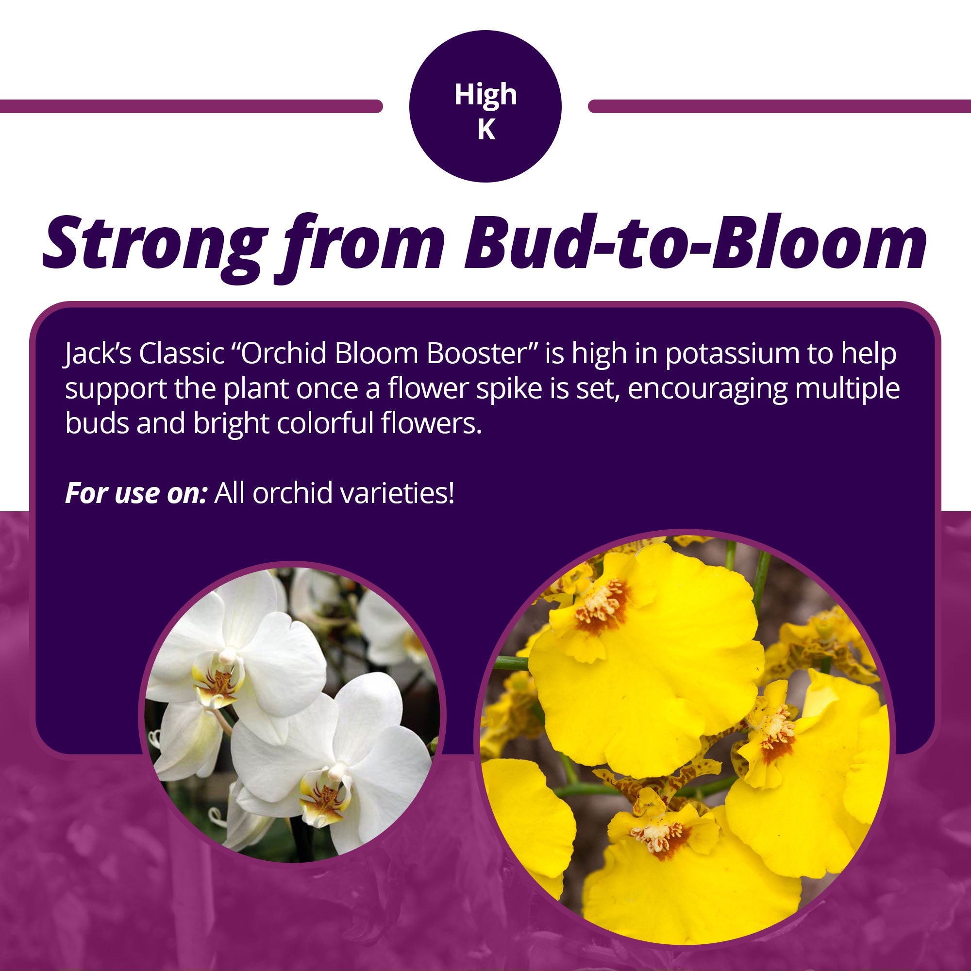 Jack's Classic 3-9-6 Orchid Bloom Booster Liquid Plant Food with Micronutrients, 8 fl. oz.