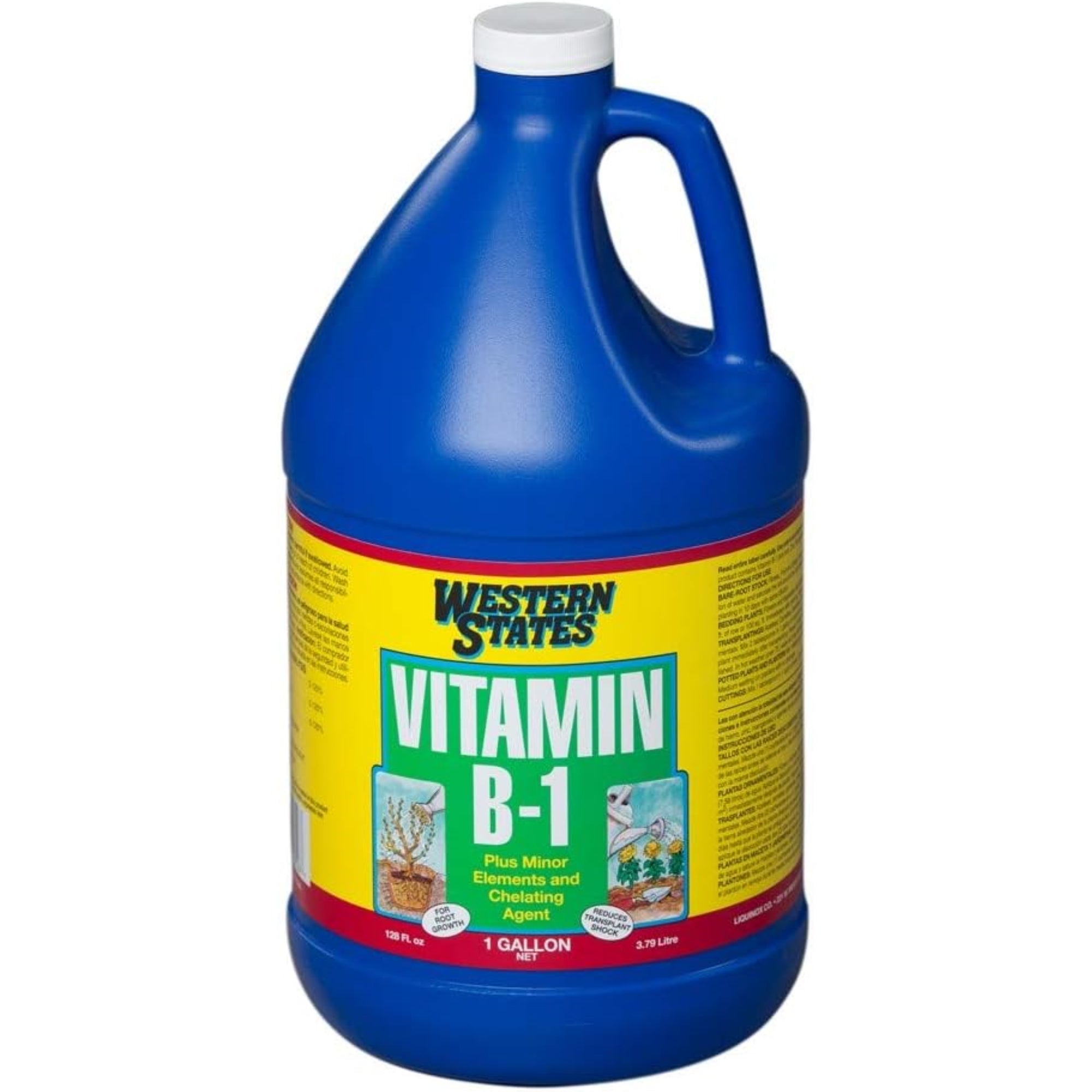 Liquinox Western States Vitamin B-1 Transplant Solution Concentrate, 1 Gallon