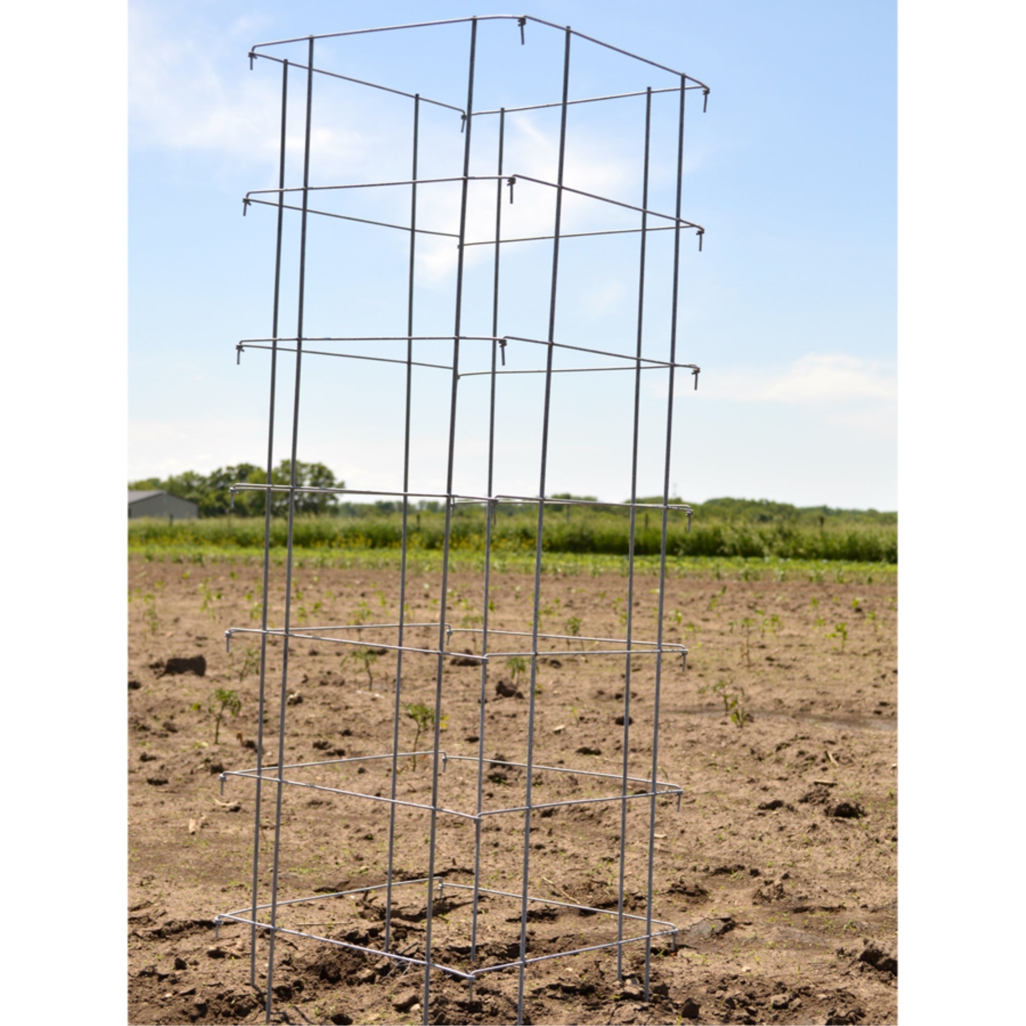 Garden Elements 8-Leg Big Brother Heavy Duty Square Collapsible Tomato Cages, 58” (Pack of 3)
