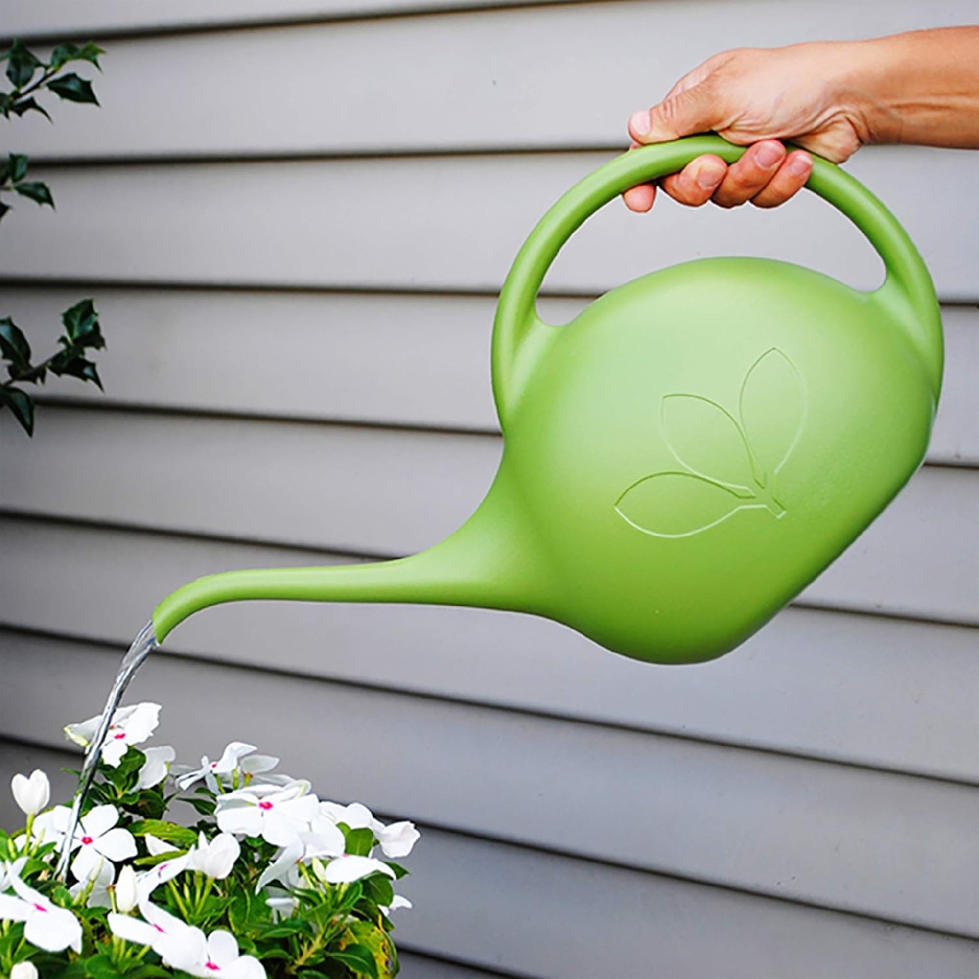 Novelty Indoor Watering Can – Durable Plastic with Long-Spout & Ergonomic Handle, Green, 0.5 Gal