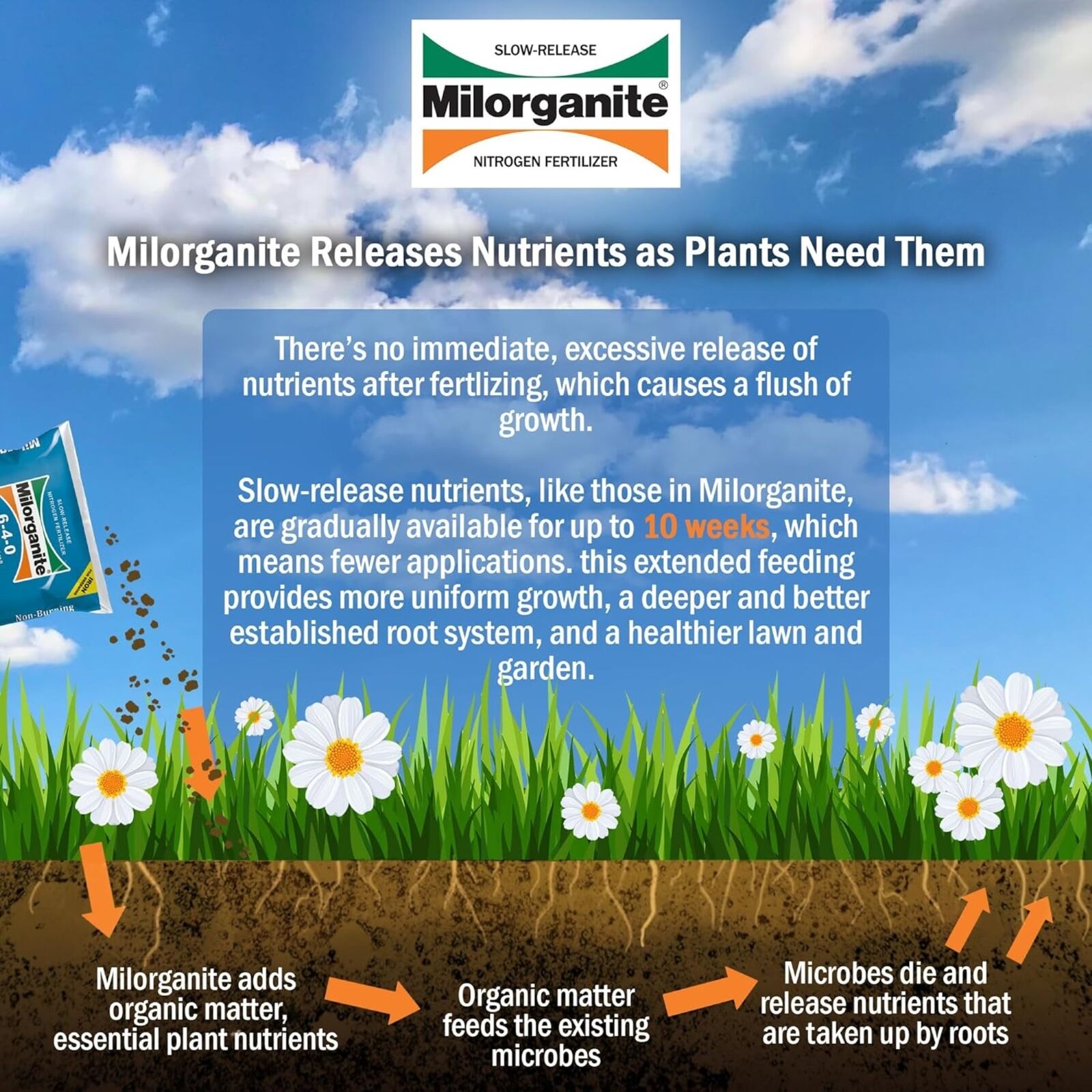 Milorganite All-Purpose Eco-Friendly Slow-Release Nitrogen Fertilizer 6-4-0, 32lb