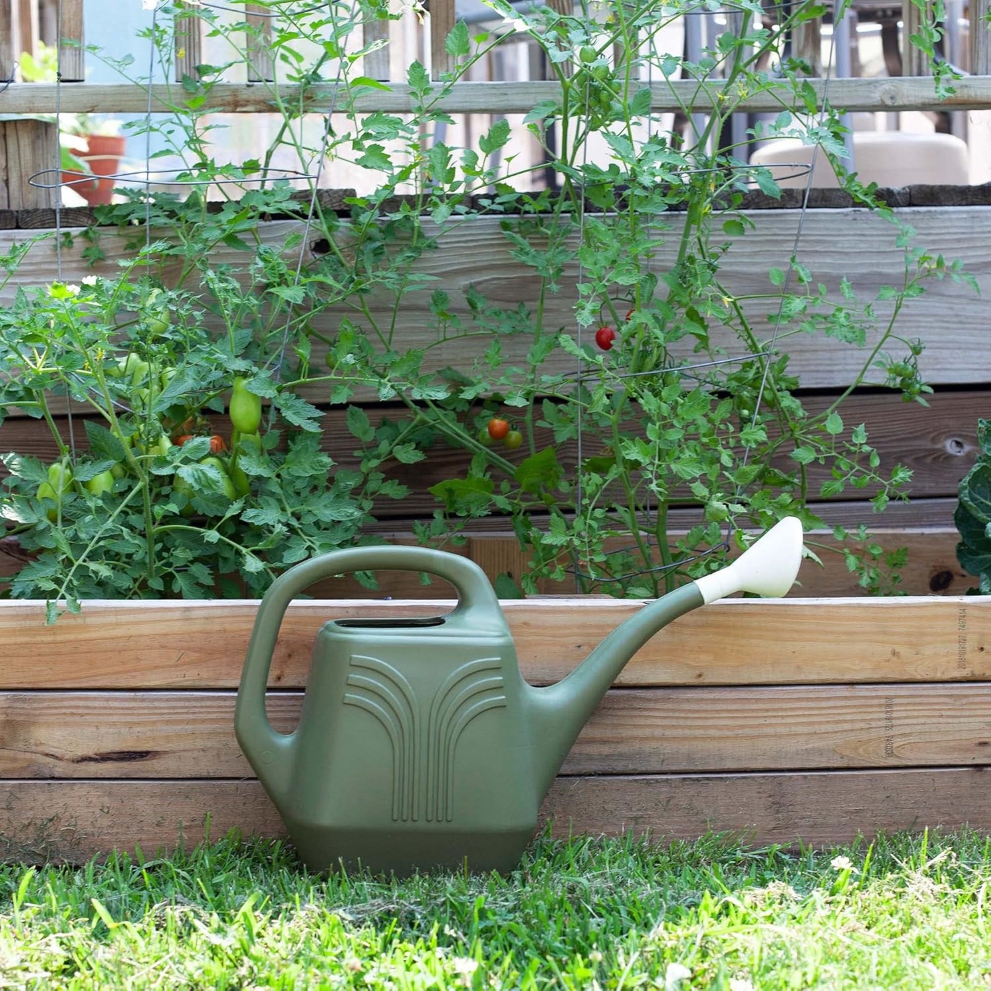 Bloem Promo Removable Nozzle Spout, Indoor/Outdoor Use Resin Watering Can, Basil Green, 2 Gallon Capacity