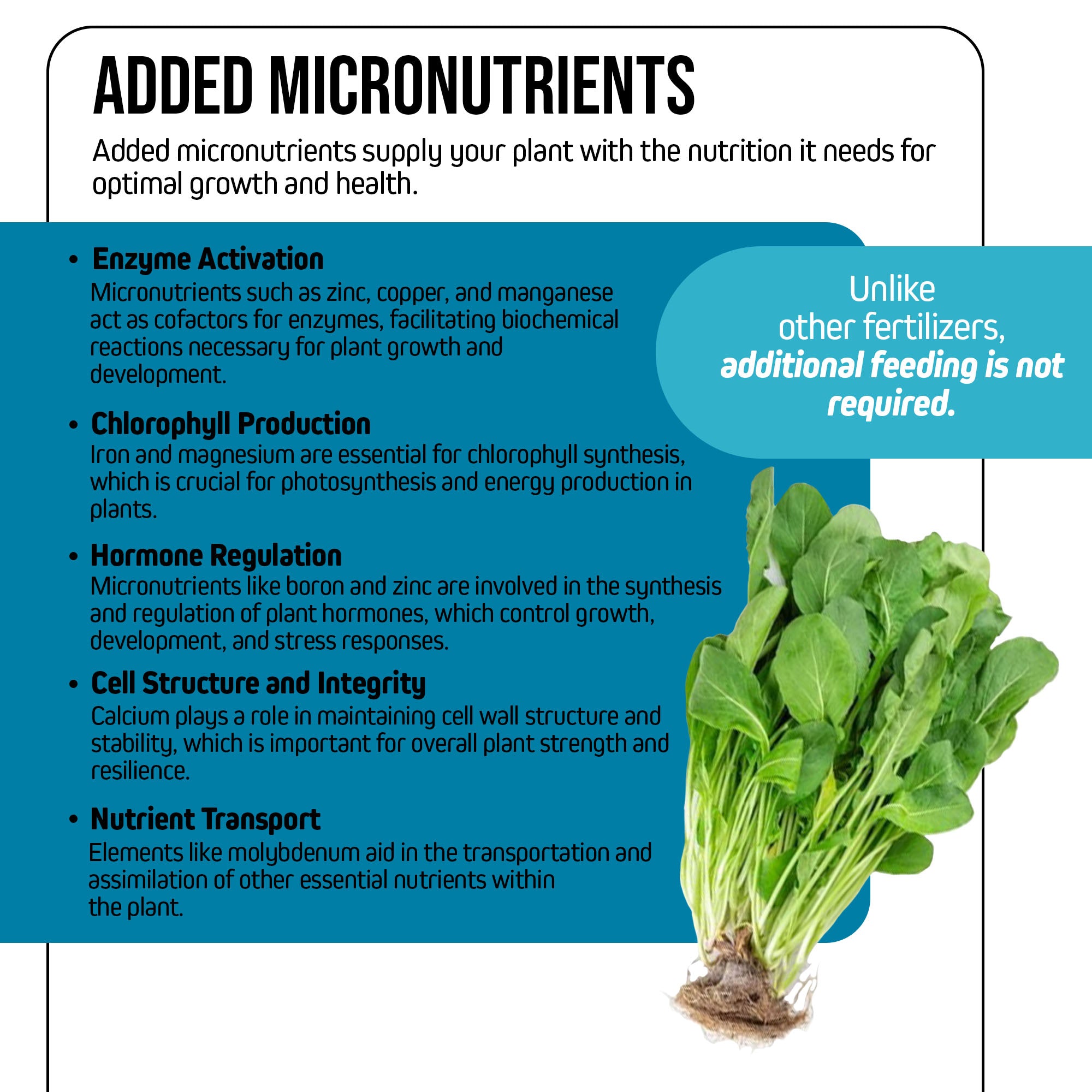 Jack's Nutrients 15-5-20 Tap Water-Soluble Fertilizer, 2.2lbs - Lowers Water pH