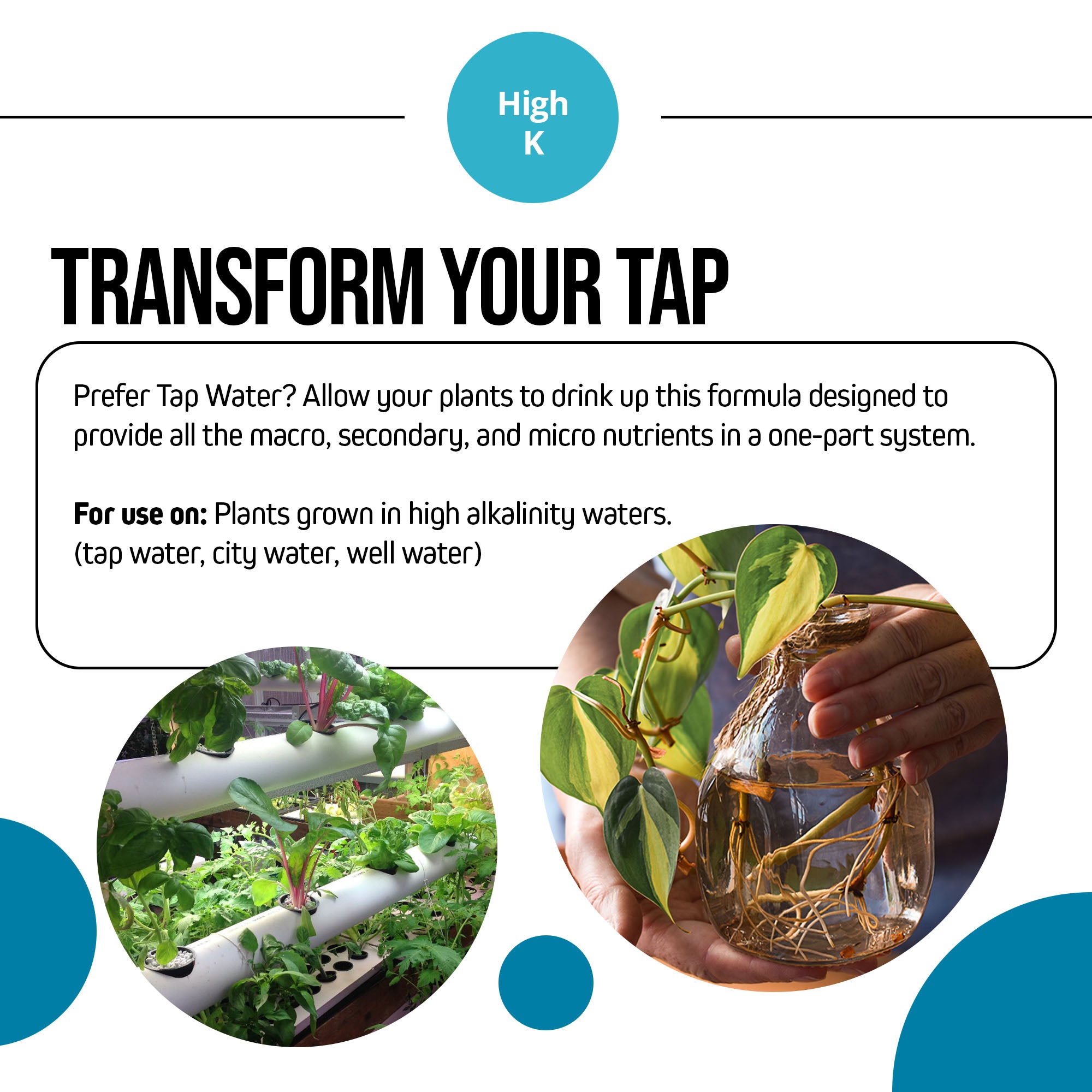 Jack's Nutrients 15-5-20 Tap Water-Soluble Fertilizer, 2.2lbs - Lowers Water pH