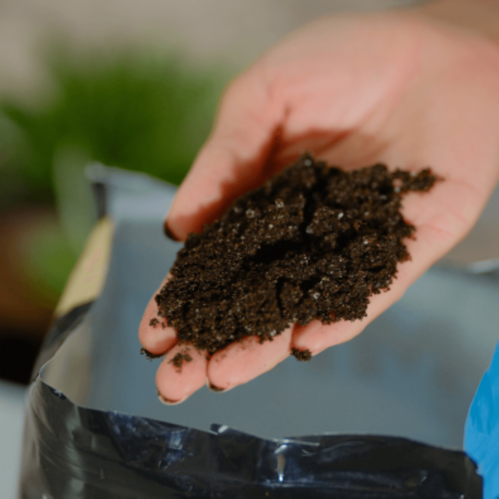 PREMIER HORTICULTURE PRO-MIX Cactus Mix with MYCOACTIVE, 8 Quarts