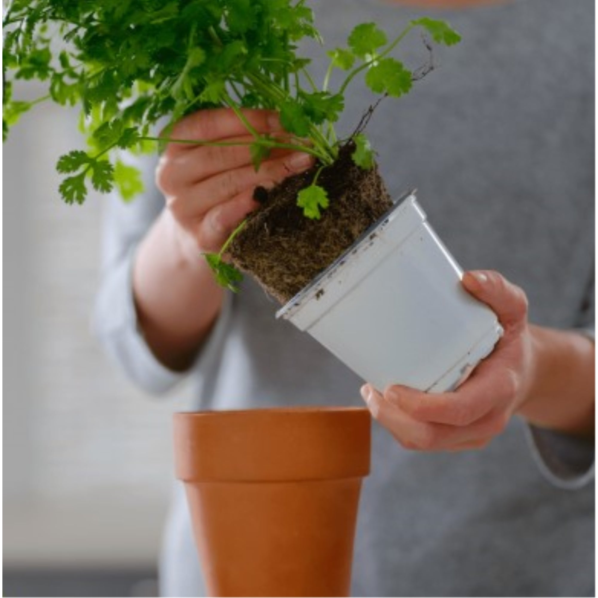 PRO-MIX Premium Organic Vegetable and Herb Soil Mix with MYCOACTIVE, 2 cu ft