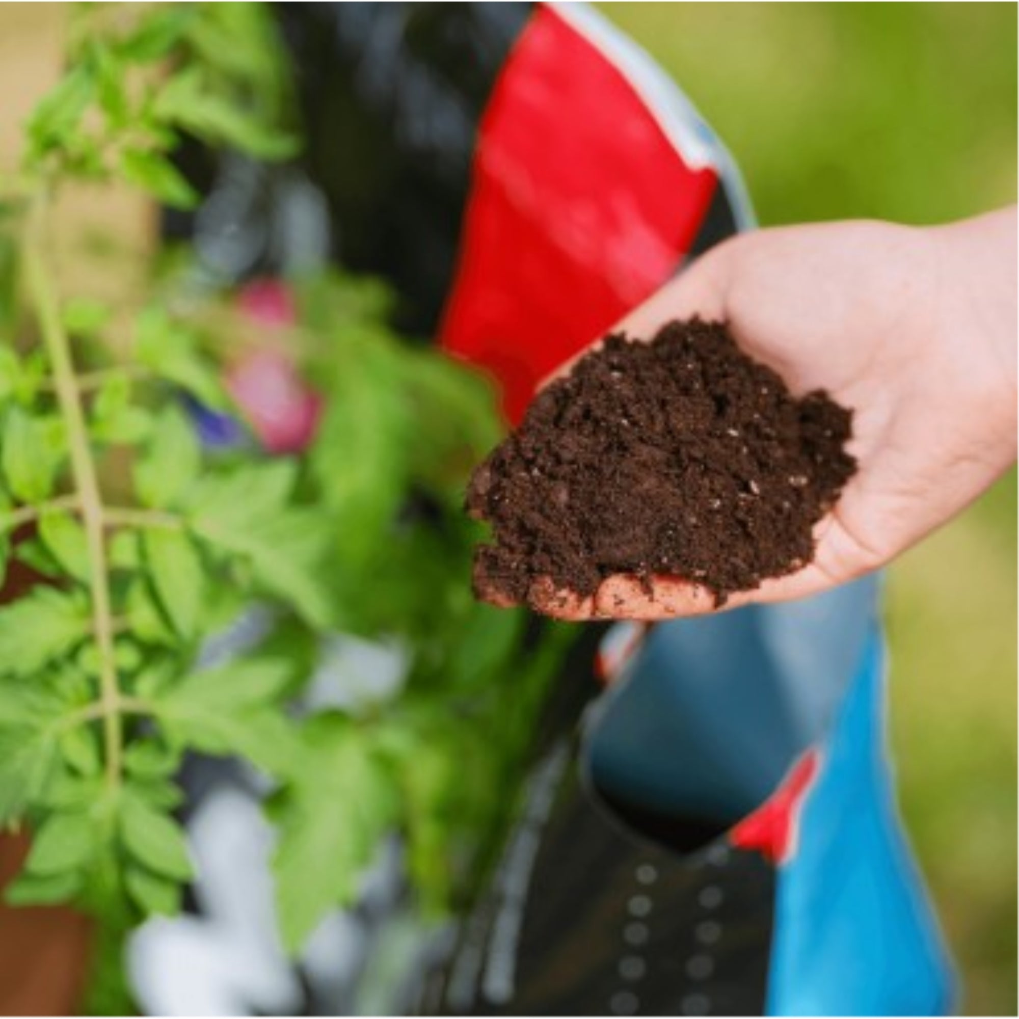 PRO-MIX Premium Organic Vegetable and Herb Soil Mix with MYCOACTIVE, 2 cu ft