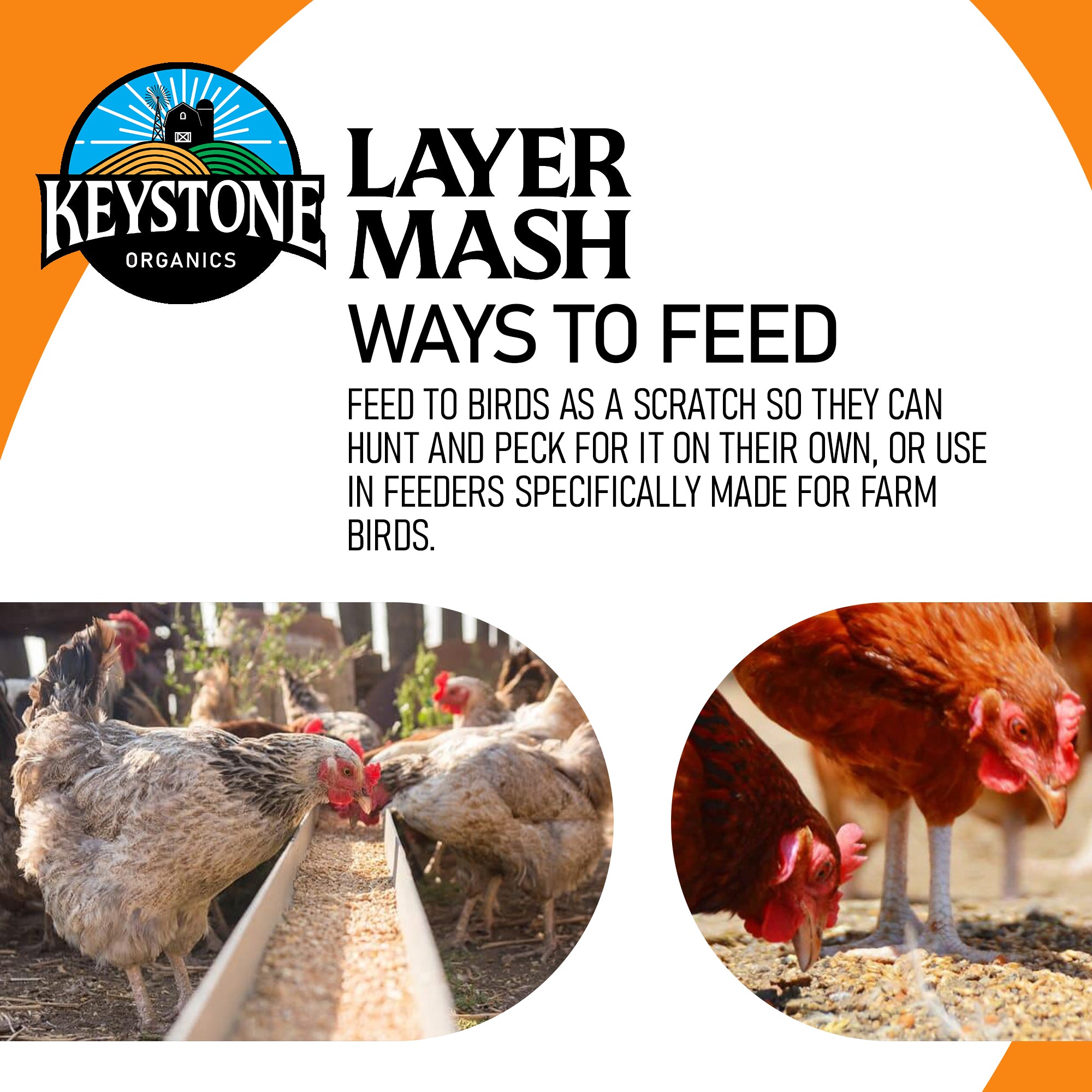 Keystone Organics USDA Certified Layer Mash Chicken Feed, 44lbs