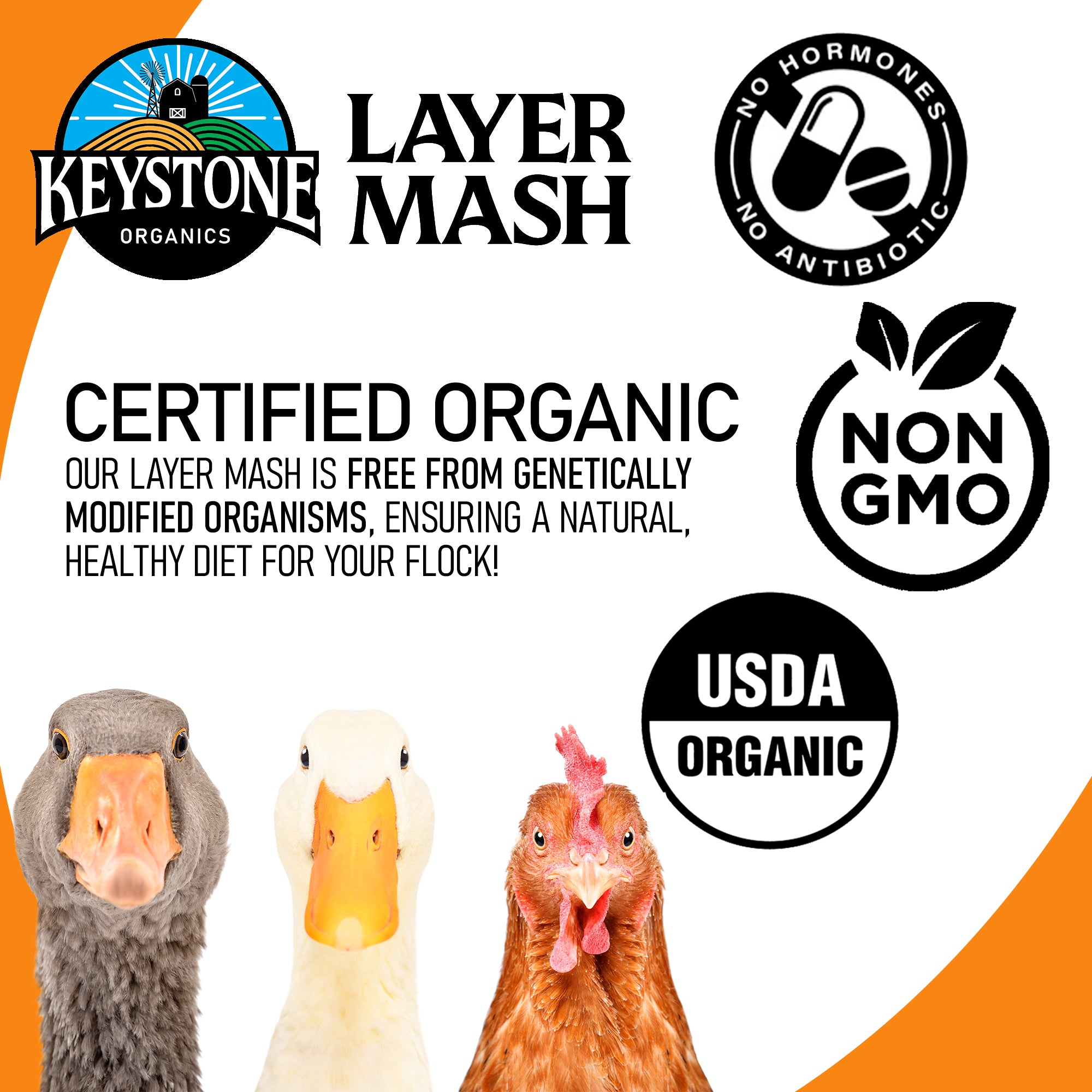 Keystone Organics USDA Certified Layer Mash Chicken Feed, 44lbs