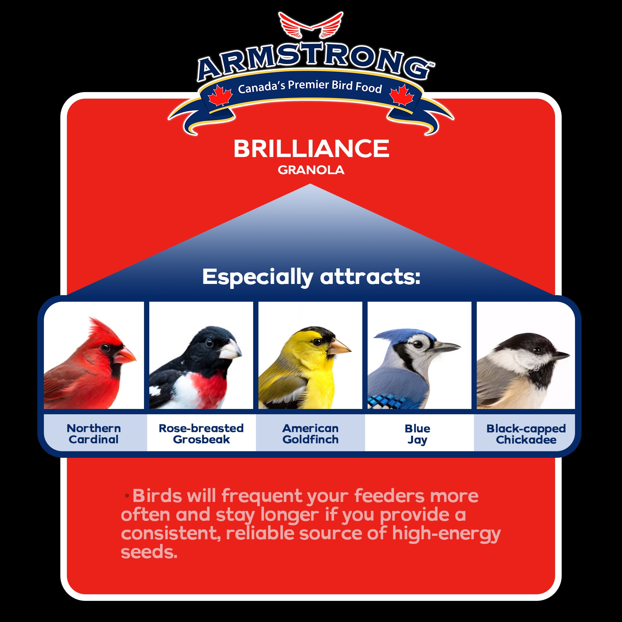 Armstrong Wild Bird Food Royal Jubilee Brilliance Granola Stack, 4.94oz