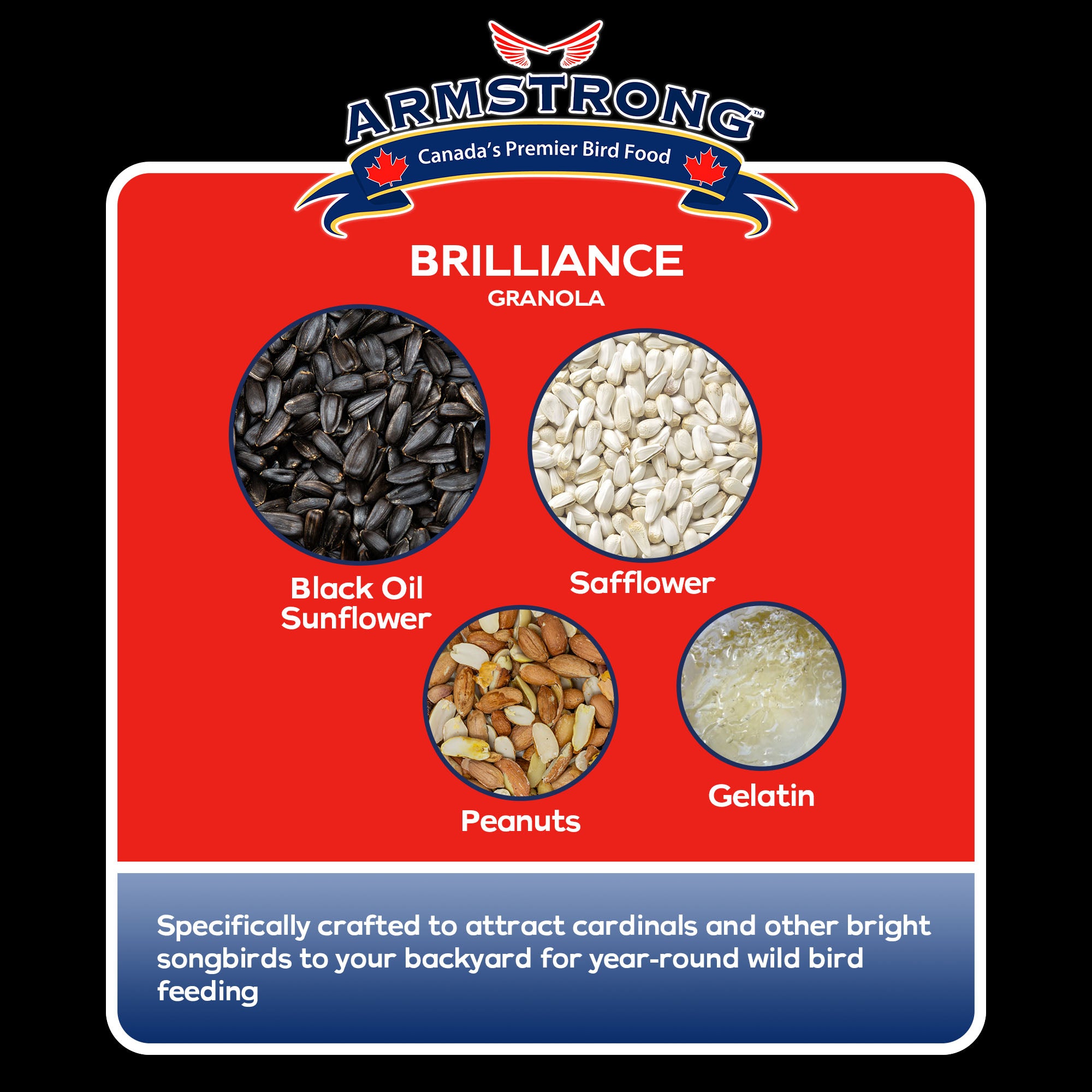 Armstrong Wild Bird Food Royal Jubilee Brilliance Granola Stack, 4.94oz