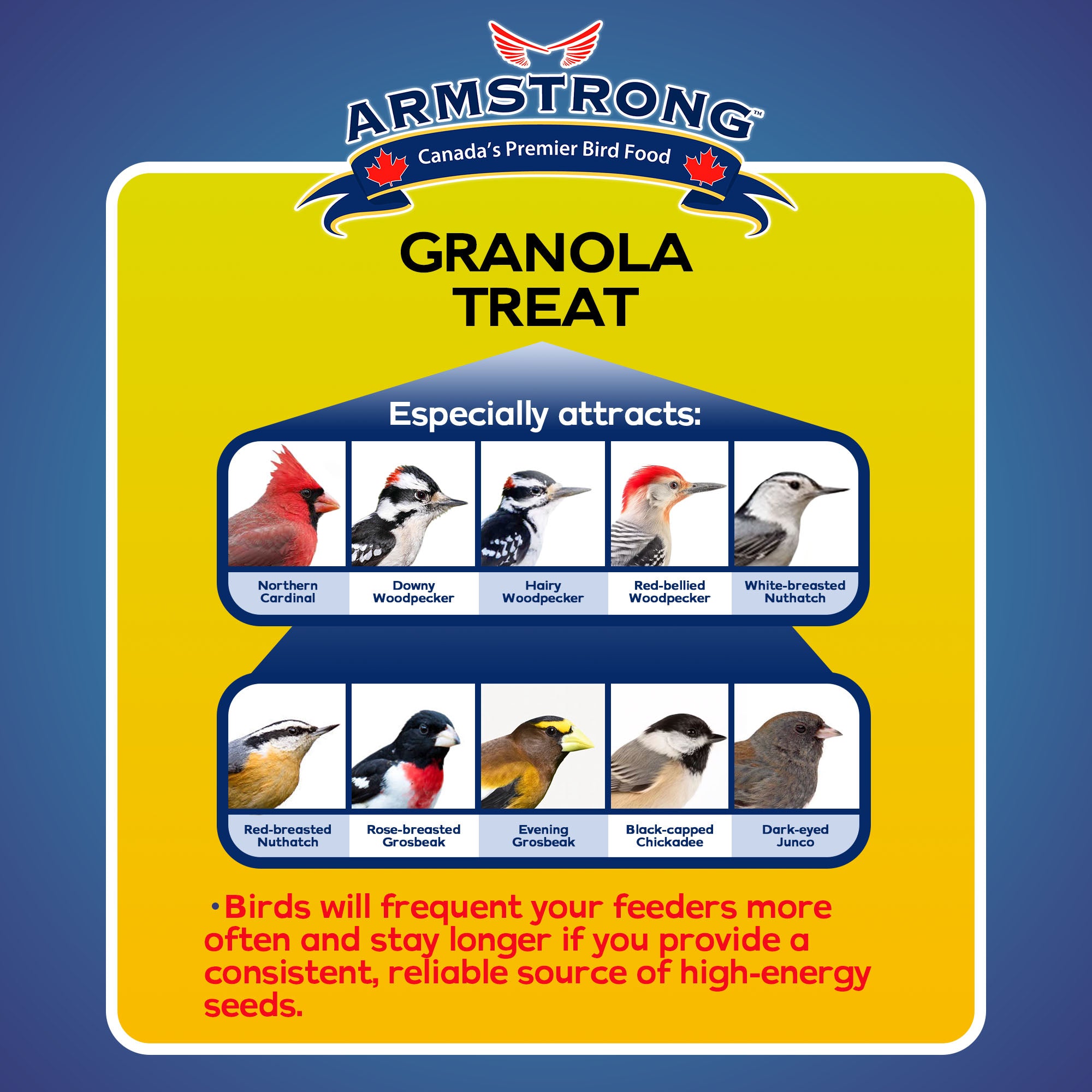 Armstrong Wild Bird Food Royal Jubilee Granola Treat, 32oz