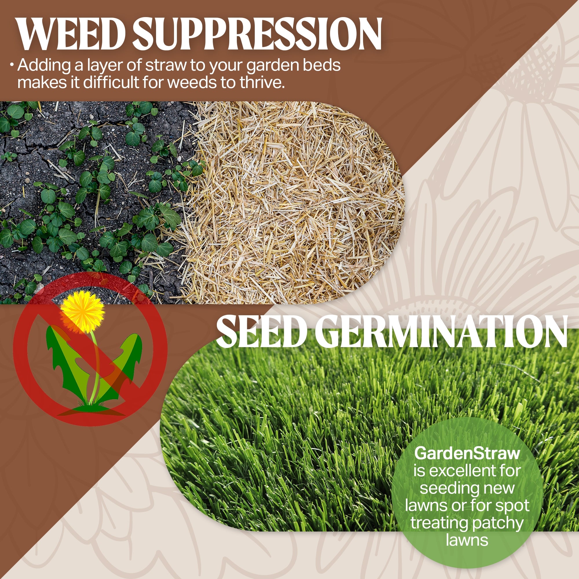 HealthiStraw GardenStraw Mini – All-Natural, Clean, Sustainable Garden Straw Mulch for Gardens and Grass Seeding, 0.5 cu ft