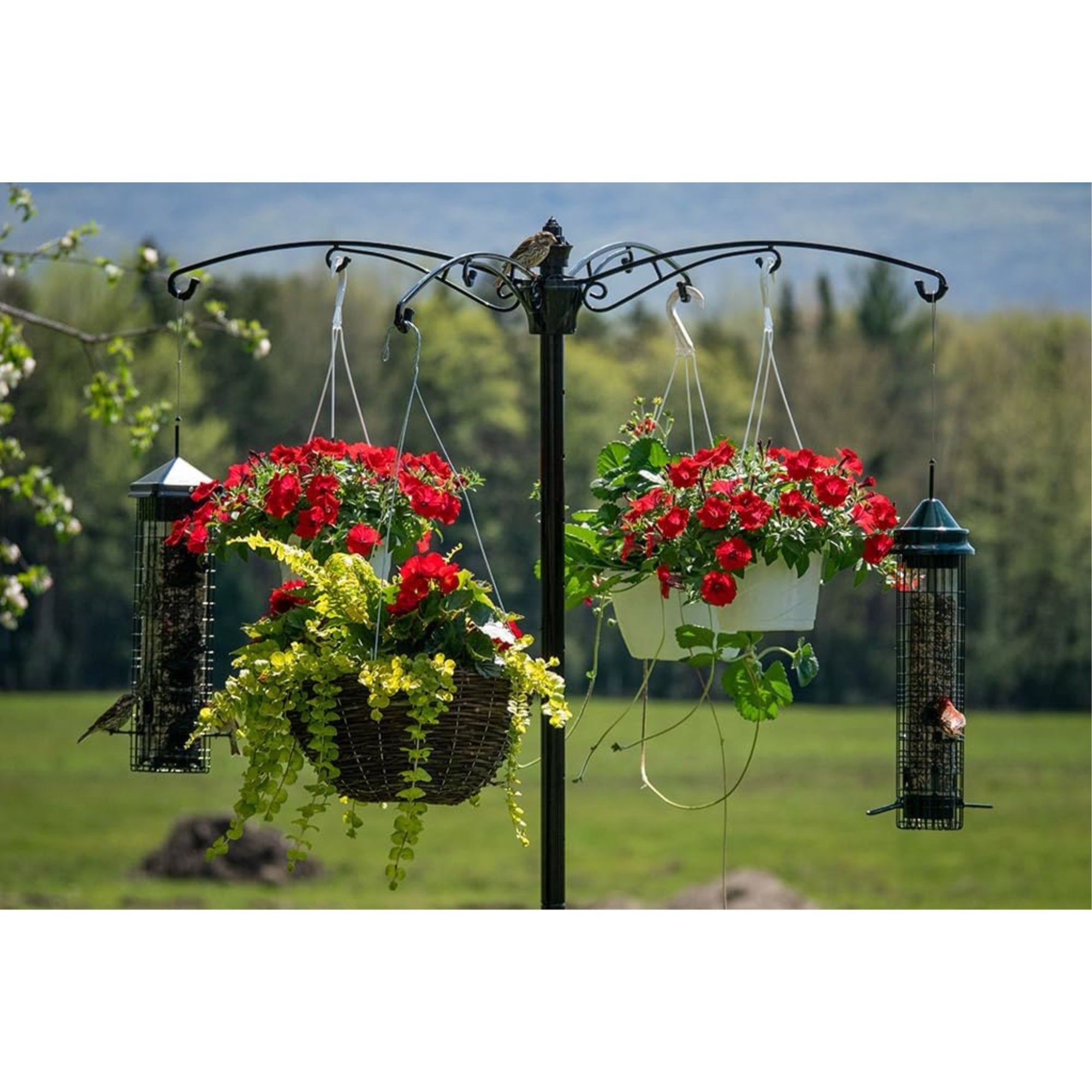 Brome Raccoon-Proof Bird Feeder Pole Kit with 4-Arm Hanging Station, 8ft