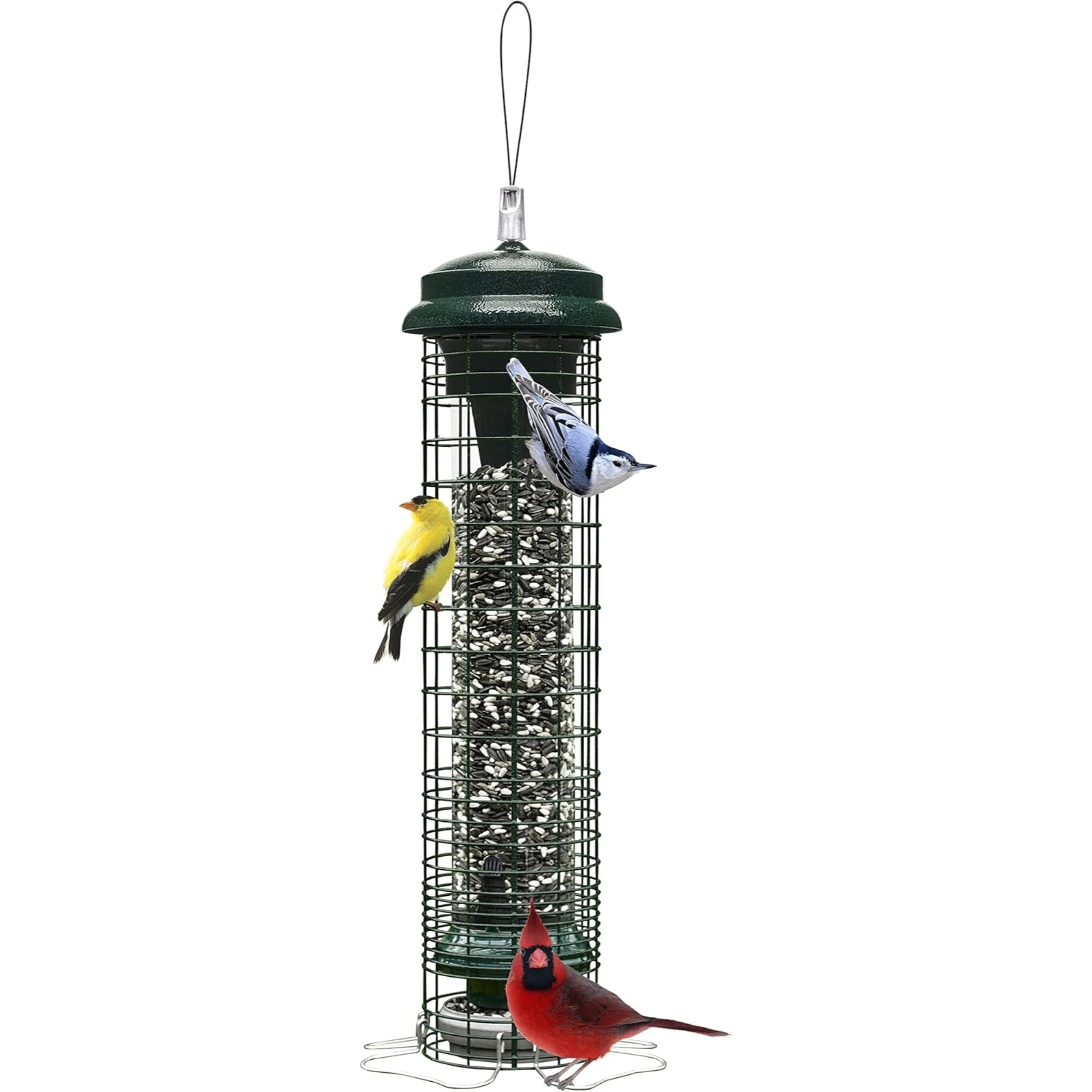 Brome Squirrel Solution 150 Squirrel-Proof Bird Feeder, 2.6lbs Seed Capacity, Green