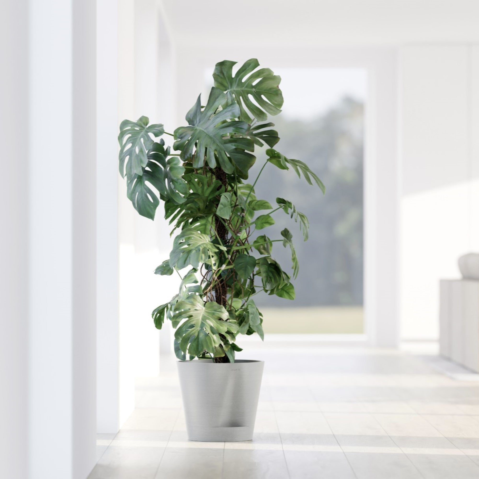 Ecopots Venice 2 Durable Modern Round Indoor/Outdoor Recycled-Based Composite Flower Pot Planter w/ Water Reservoir