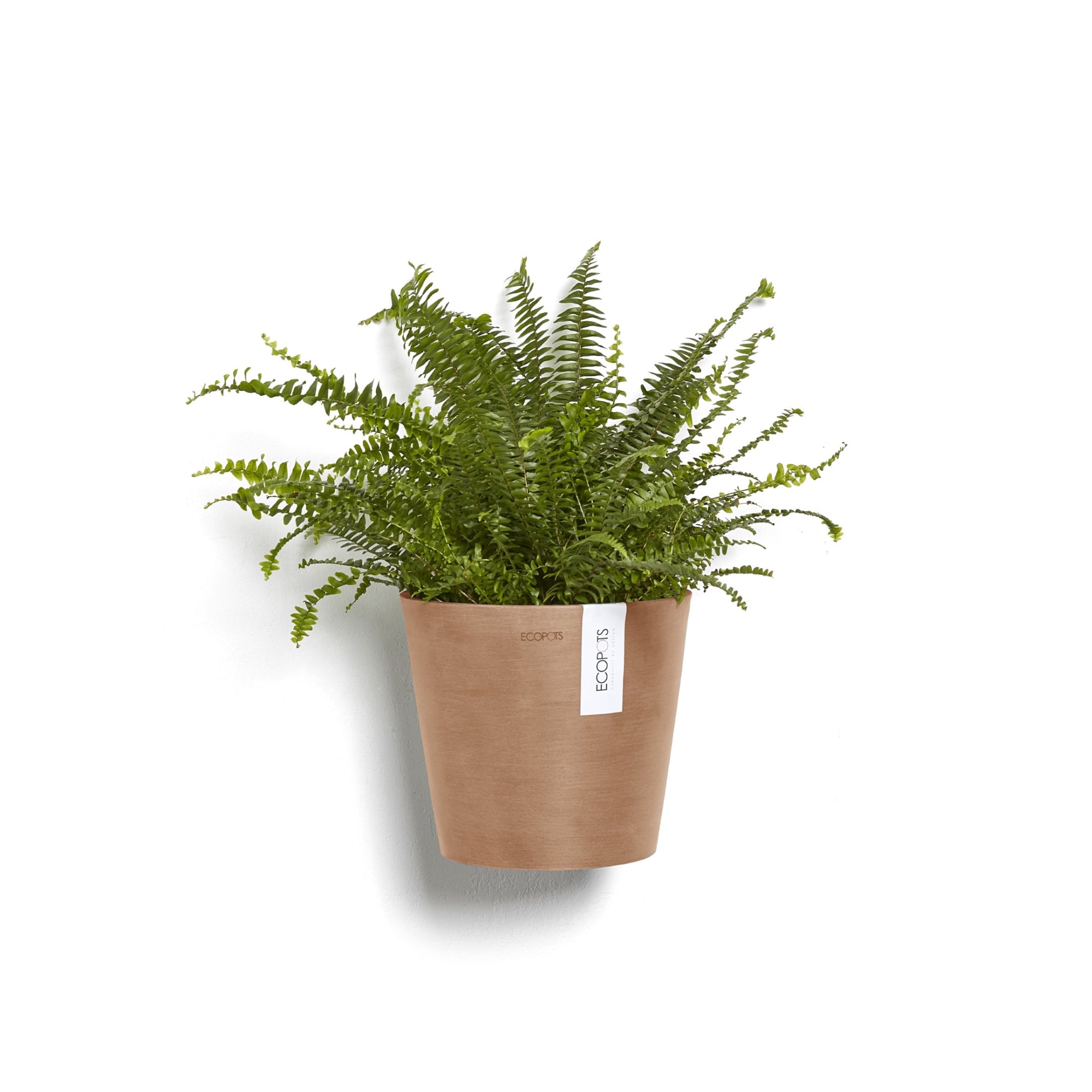 Ecopots Amsterdam Wall Durable Modern Round Indoor/Outdoor Recycled-Based Composite Hanging Flower Pot Planter, 8"