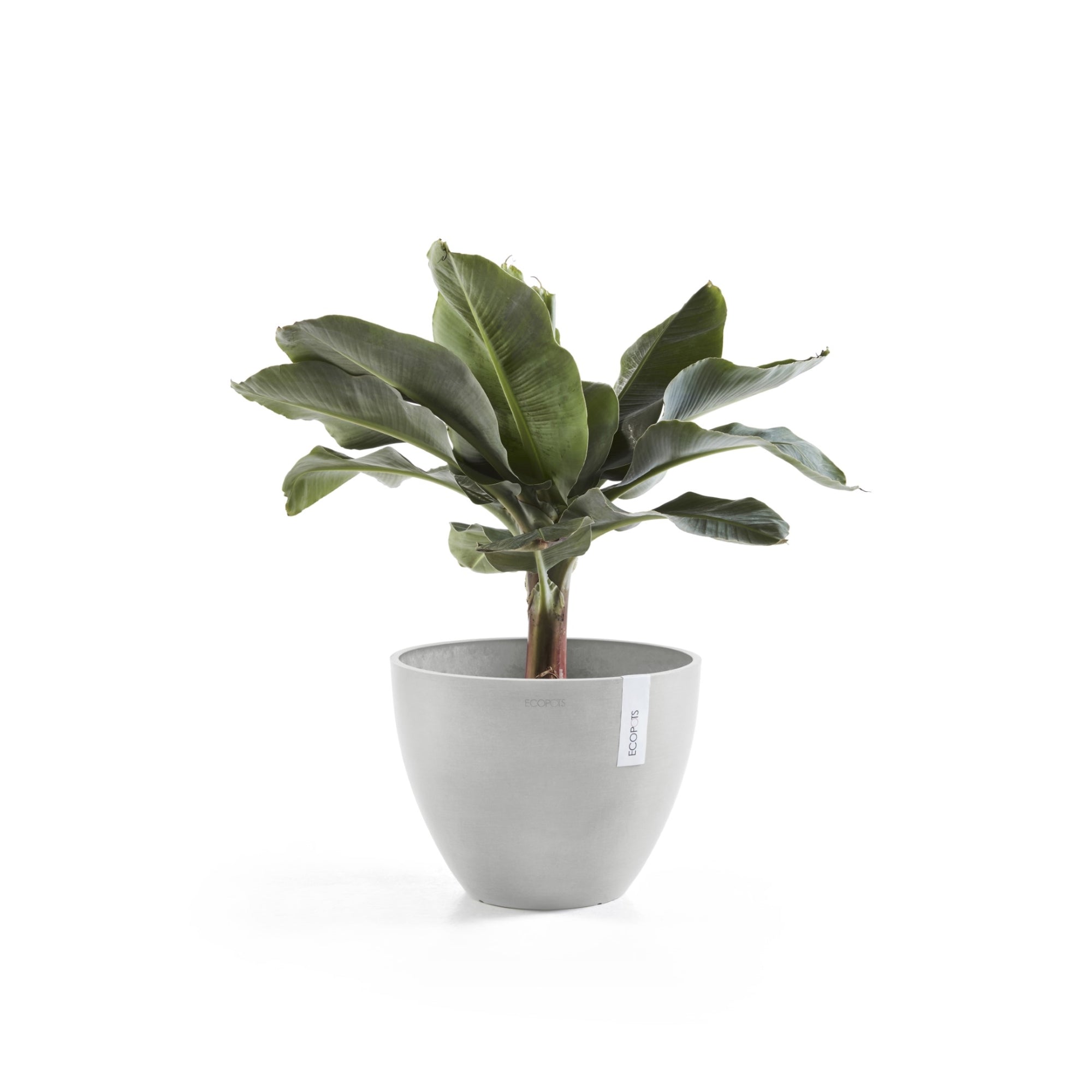 Ecopots Antwerp Durable Modern Round Indoor/Outdoor Recycled-Based Composite Flower Pot Planter