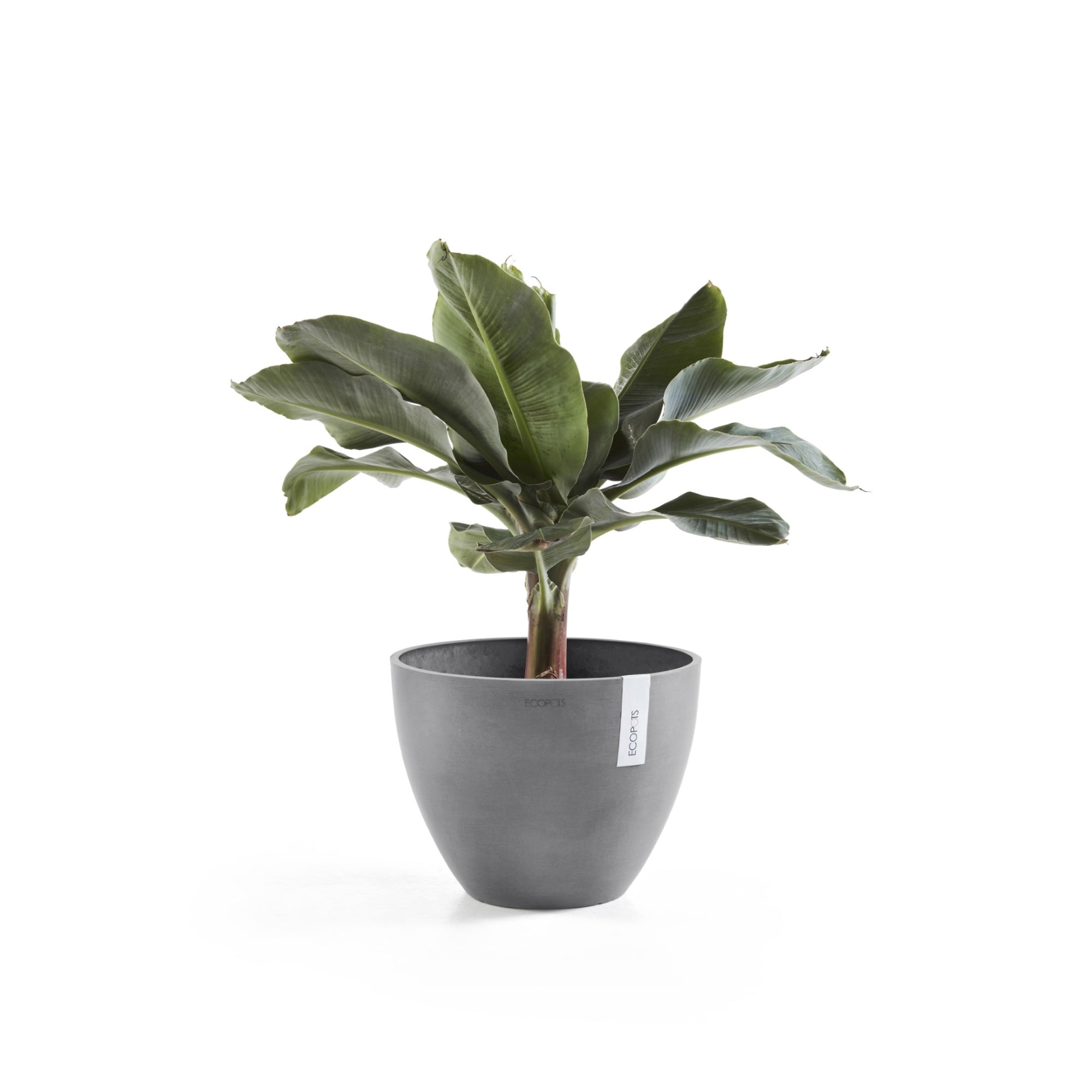 Ecopots Antwerp Durable Modern Round Indoor/Outdoor Recycled-Based Composite Flower Pot Planter