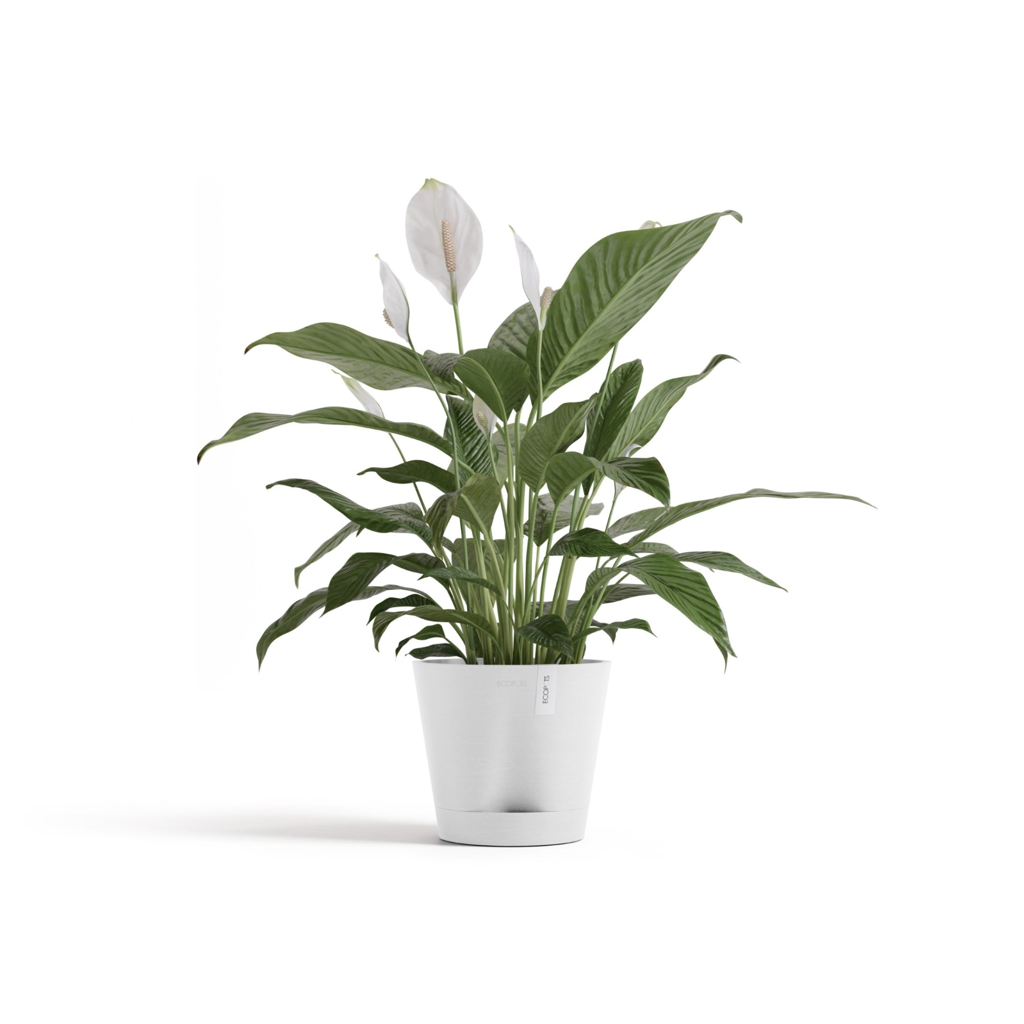 Ecopots Venice 2 Durable Modern Round Indoor/Outdoor Recycled-Based Composite Flower Pot Planter w/ Water Reservoir