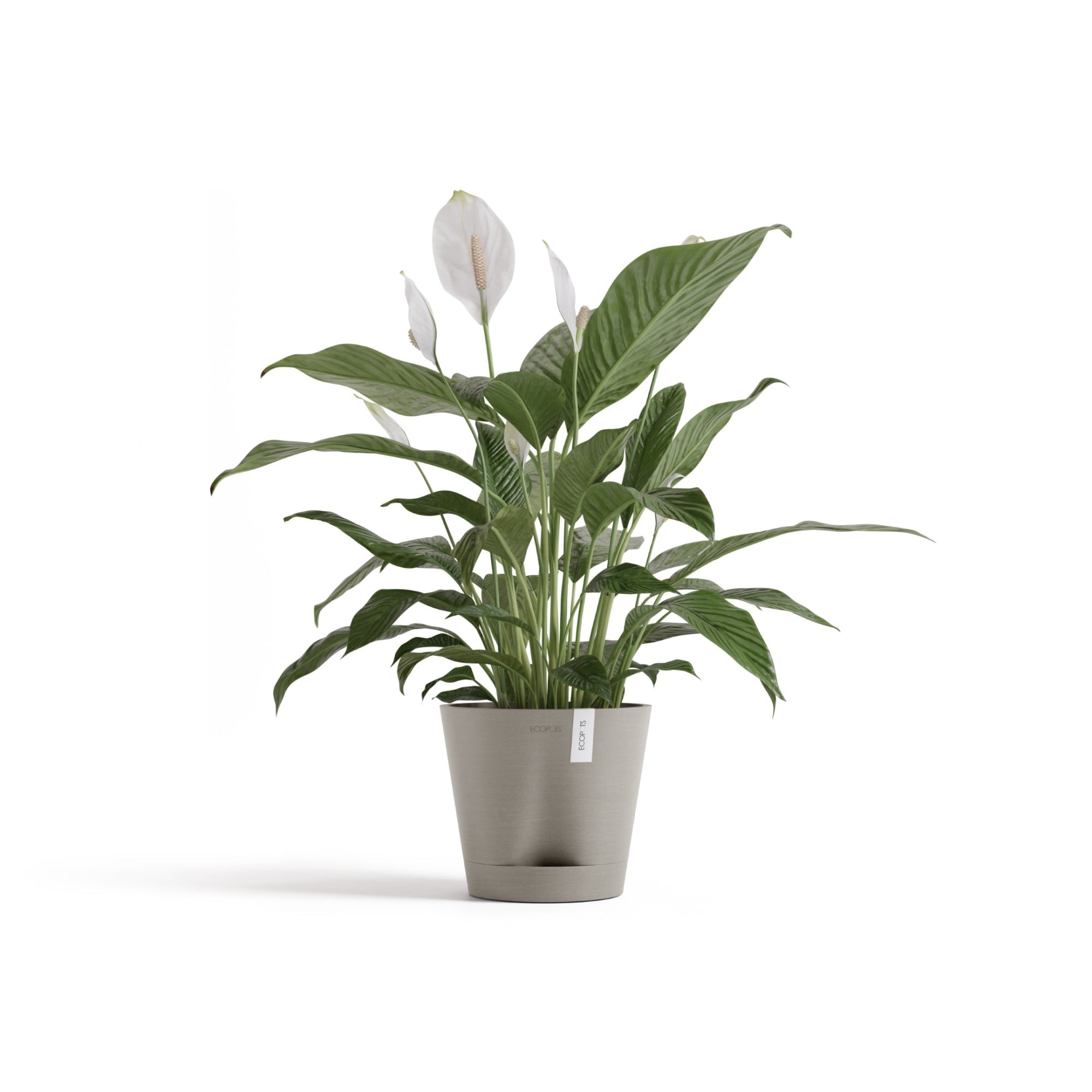 Ecopots Venice 2 Durable Modern Round Indoor/Outdoor Recycled-Based Composite Flower Pot Planter w/ Water Reservoir
