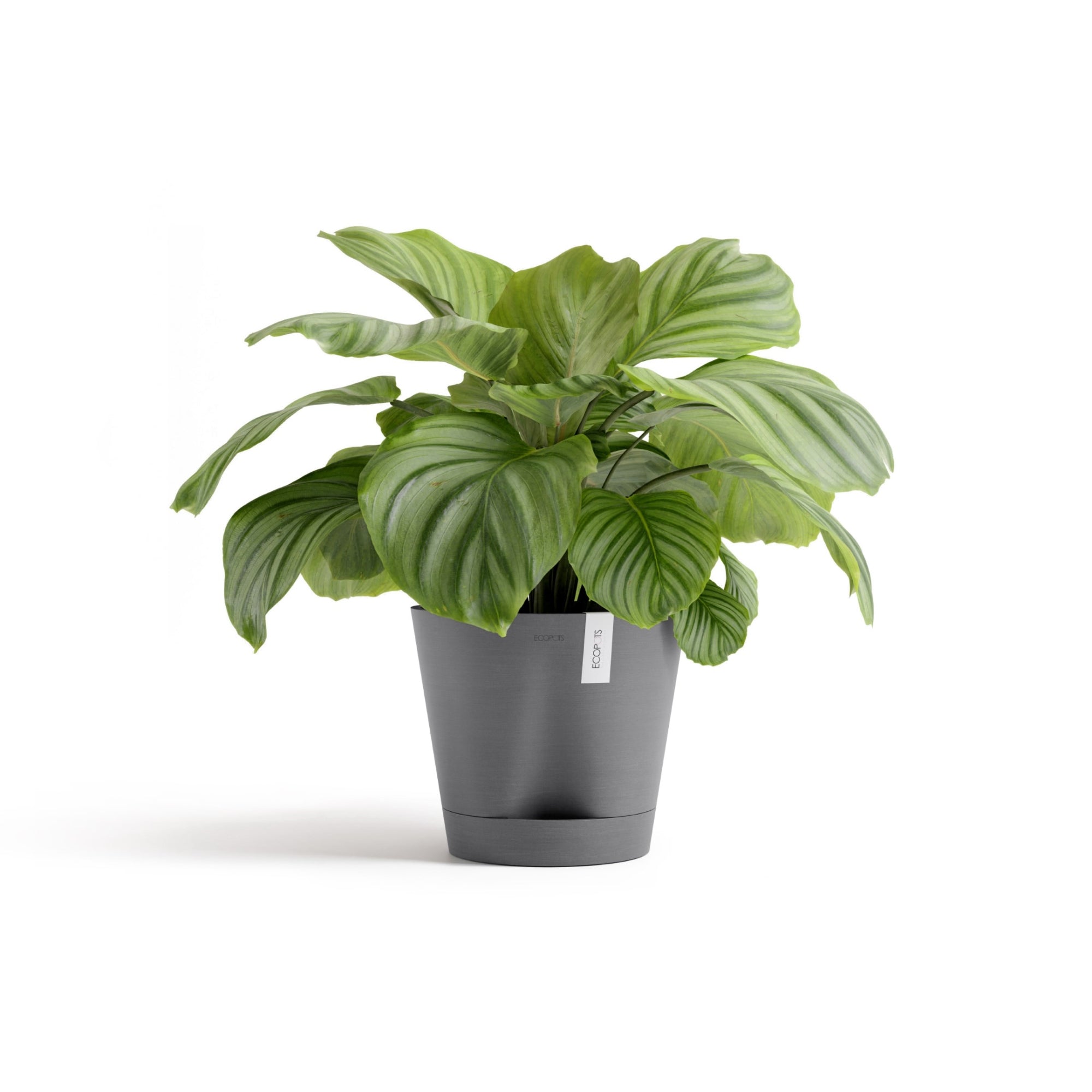 Ecopots Venice 2 Durable Modern Round Indoor/Outdoor Recycled-Based Composite Flower Pot Planter w/ Water Reservoir