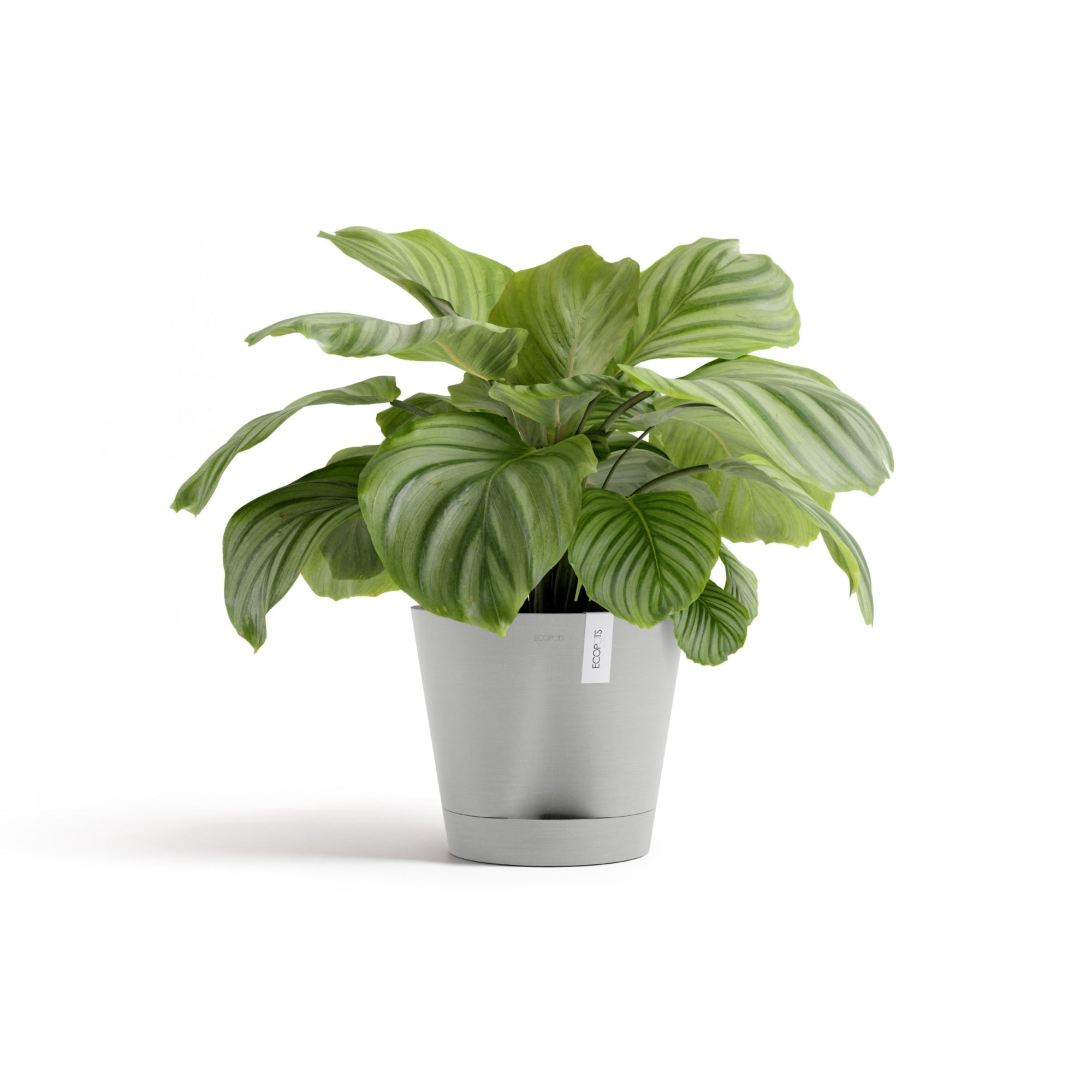Ecopots Venice 2 Durable Modern Round Indoor/Outdoor Recycled-Based Composite Flower Pot Planter w/ Water Reservoir