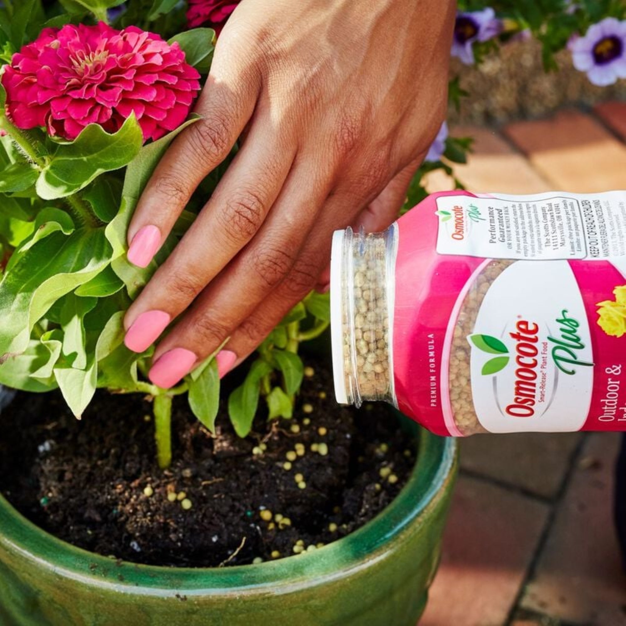 Osmocote Plus Smart-Release Plant Food, Outdoor & Indoor Granular Fertilizer, 1 lb