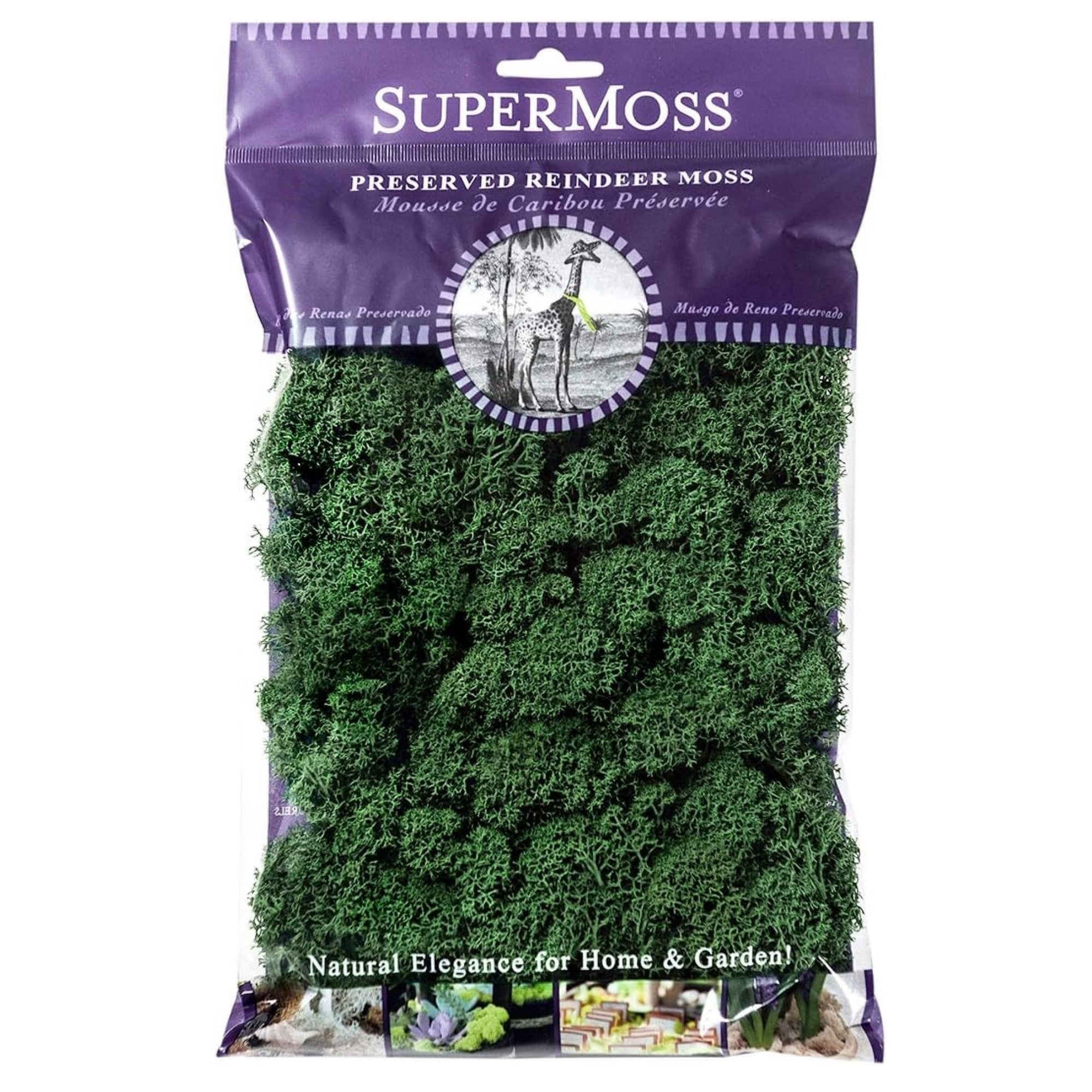 SuperMoss Preserved Reindeer Moss – Soft, Eco-Friendly Decorative Moss for Terrariums, Floral Arrangements, Forest Green, 2 oz