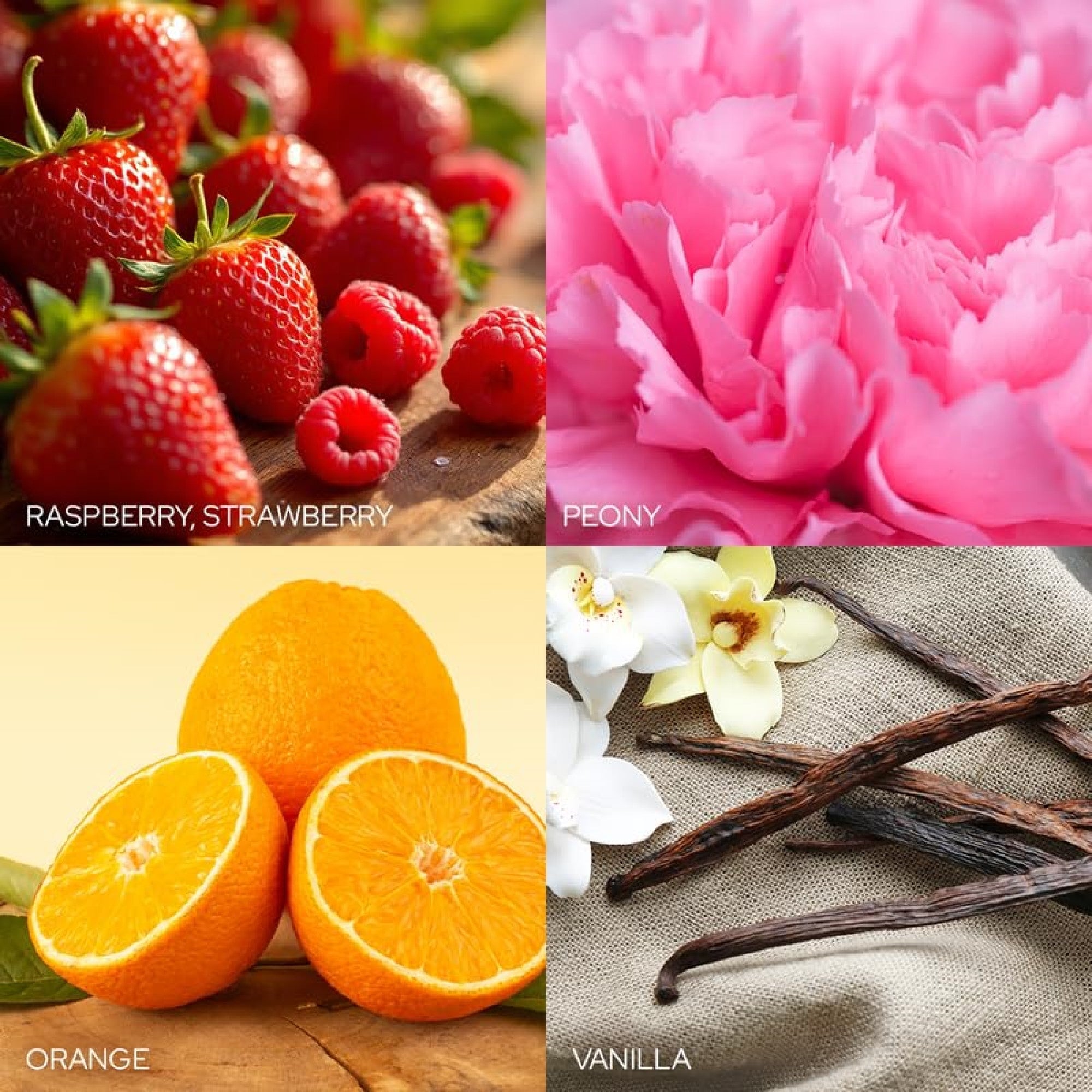 Old World Christmas Gypsum Scented Ornament for Christmas Tree, Sugared Ribbon Candy