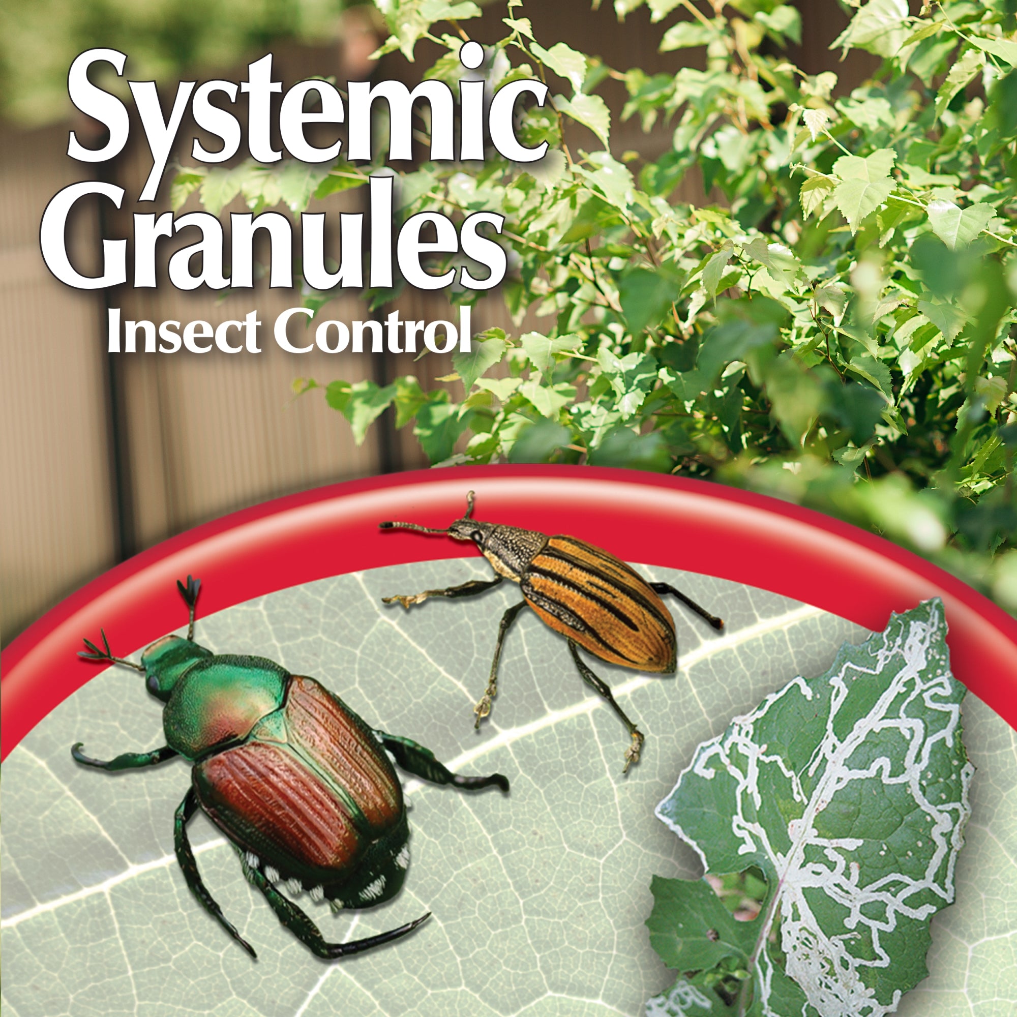 Bonide Systemic Granules Insect Control, Protects up to 8 Weeks, Shaker Canister, 1 lb