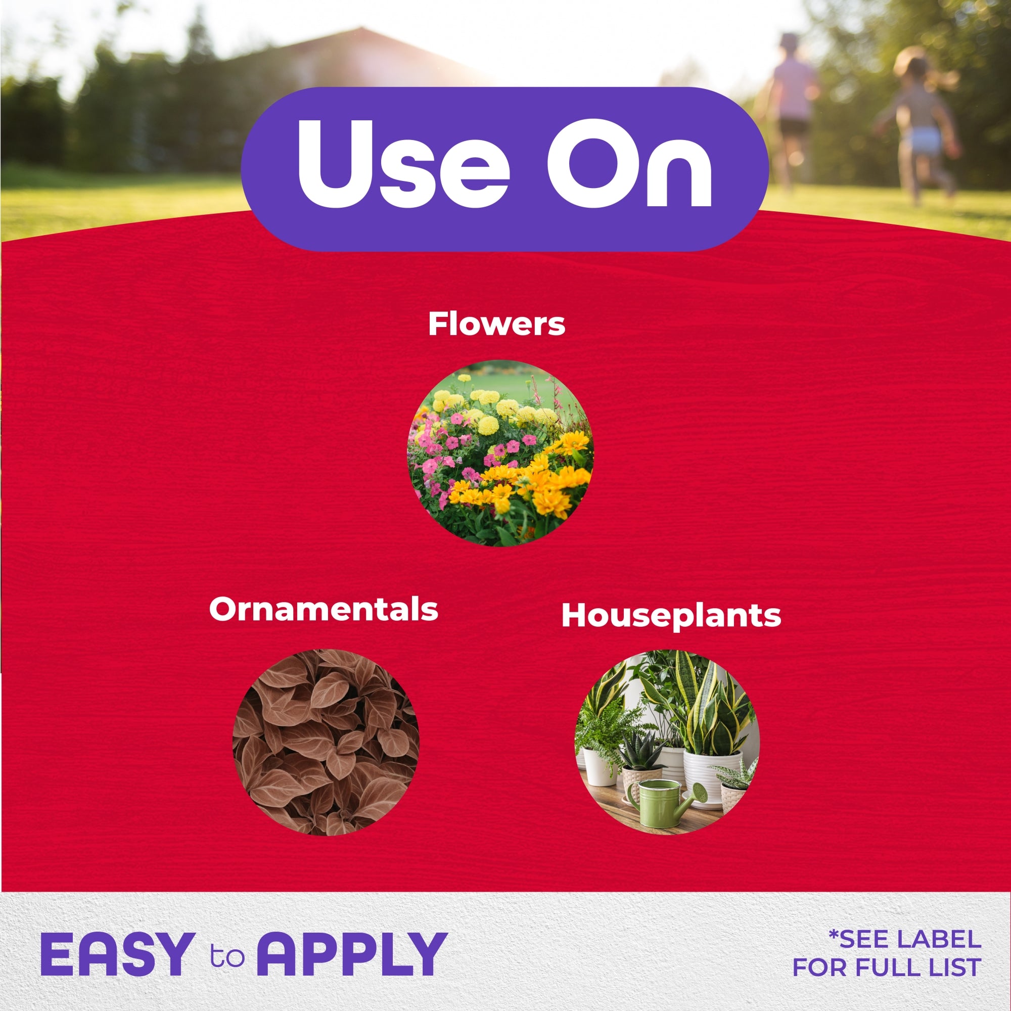 Bonide Systemic Granules Insect Control, Protects up to 8 Weeks, Shaker Canister, 4lb