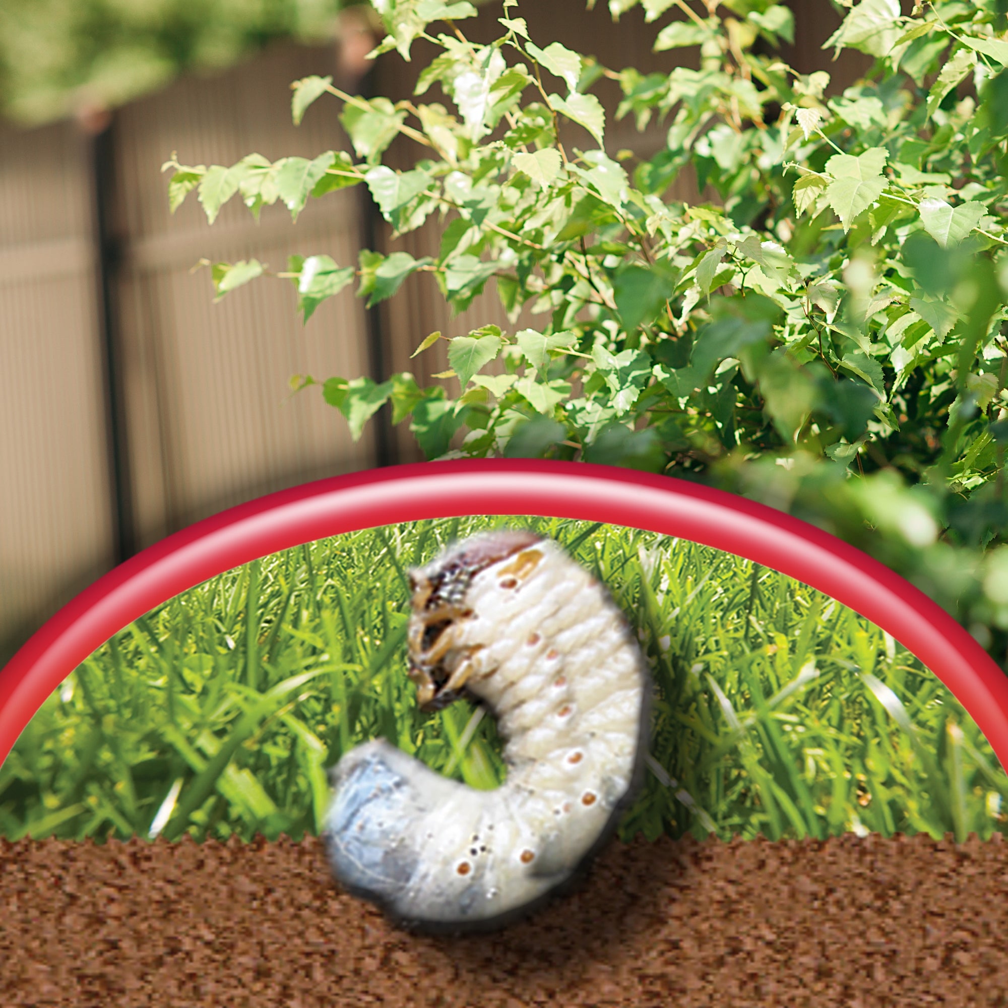 Bonide Annual Granules Grub Beater Insect Control with SYSTEMAXX, 18lb